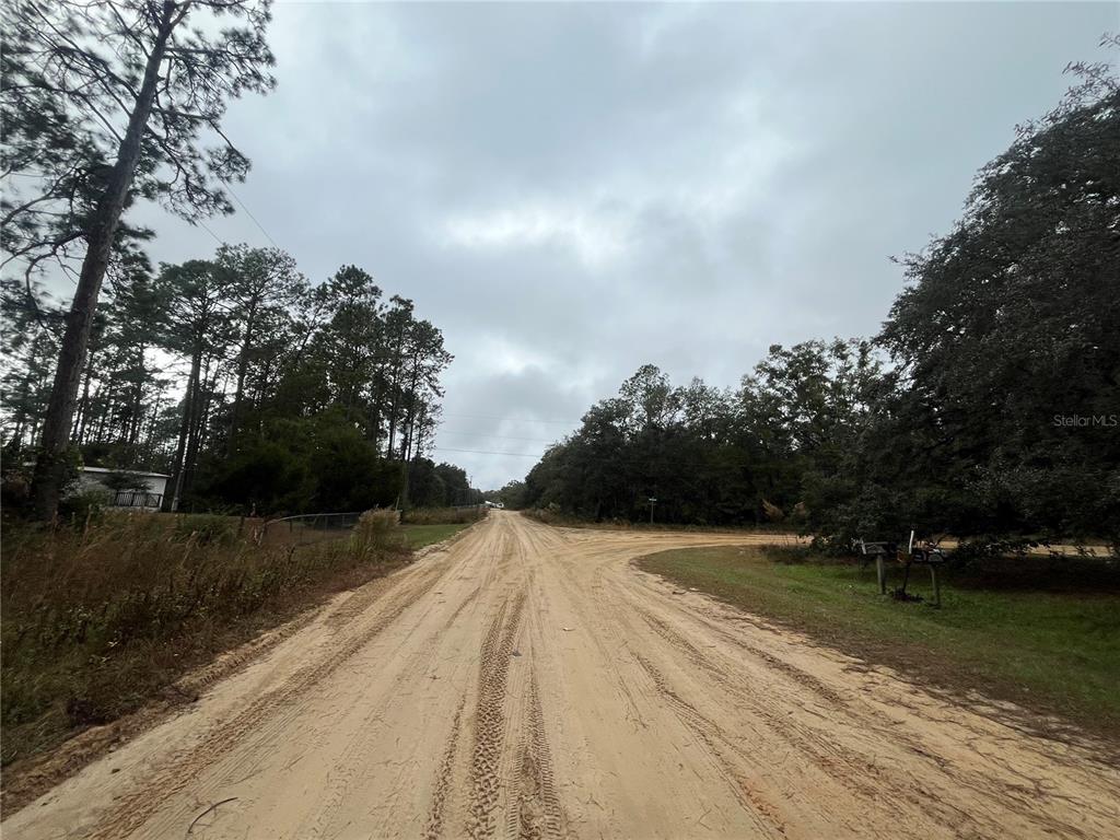 Susan Street Interlachen, FL 32148 - Photo 9 of 17