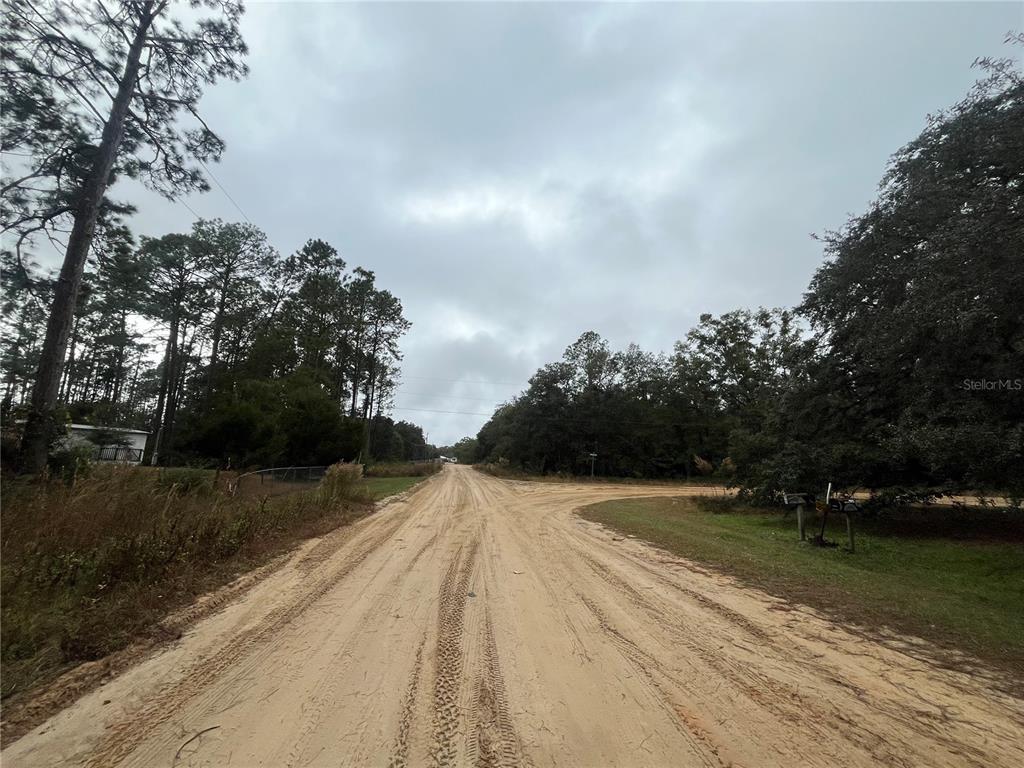 Susan Street Interlachen, FL 32148 - Photo 10 of 17