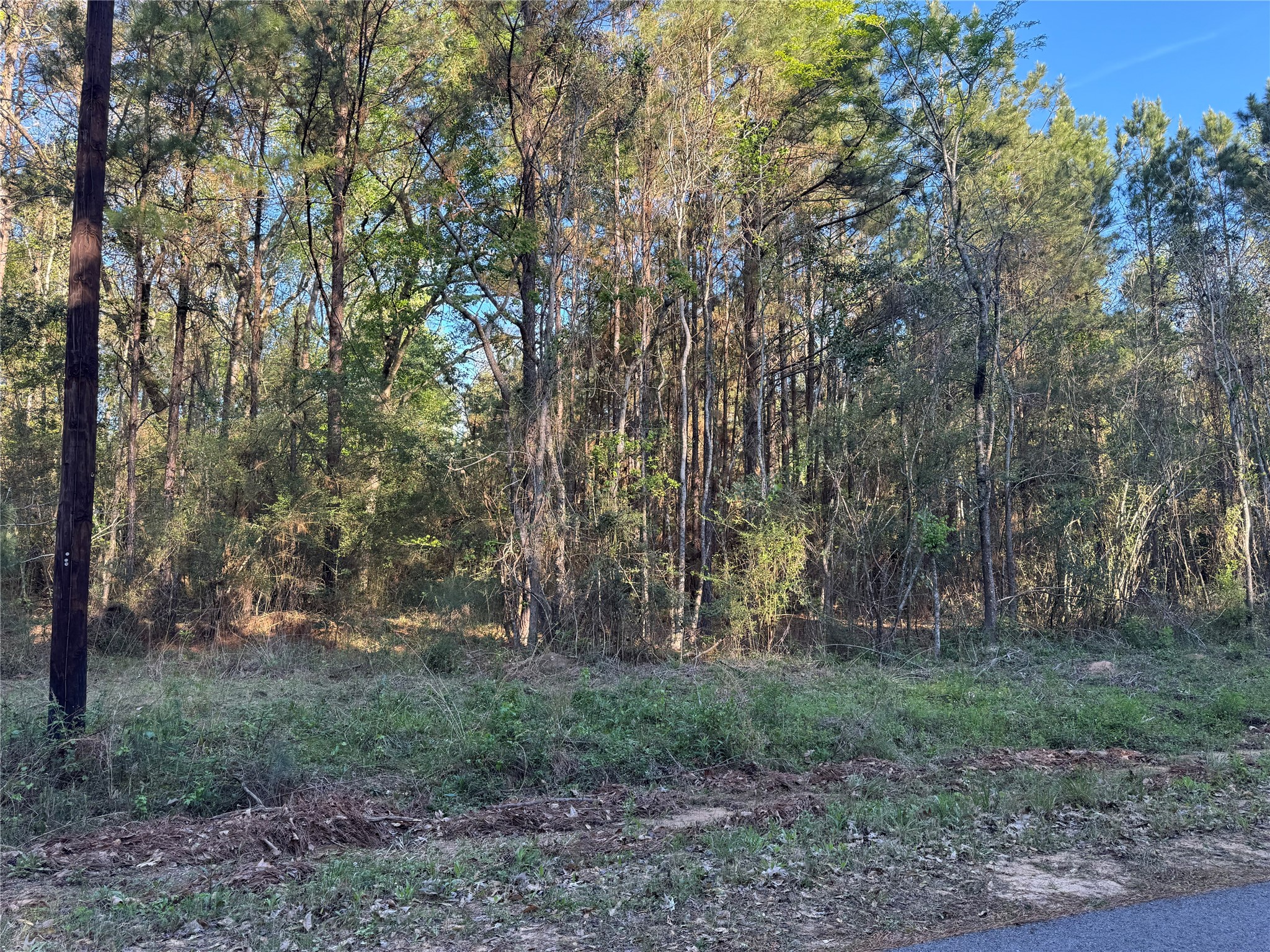 0 Rose Hill Road Coldspring, TX 77331 - Photo 7 of 12 a view of outdoor space and green space