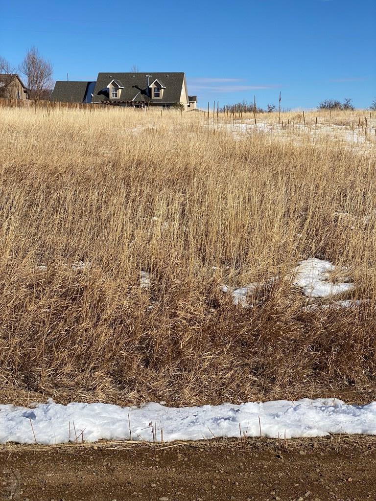 0 Becker Road Rye, CO 81069 - Photo 3 of 4