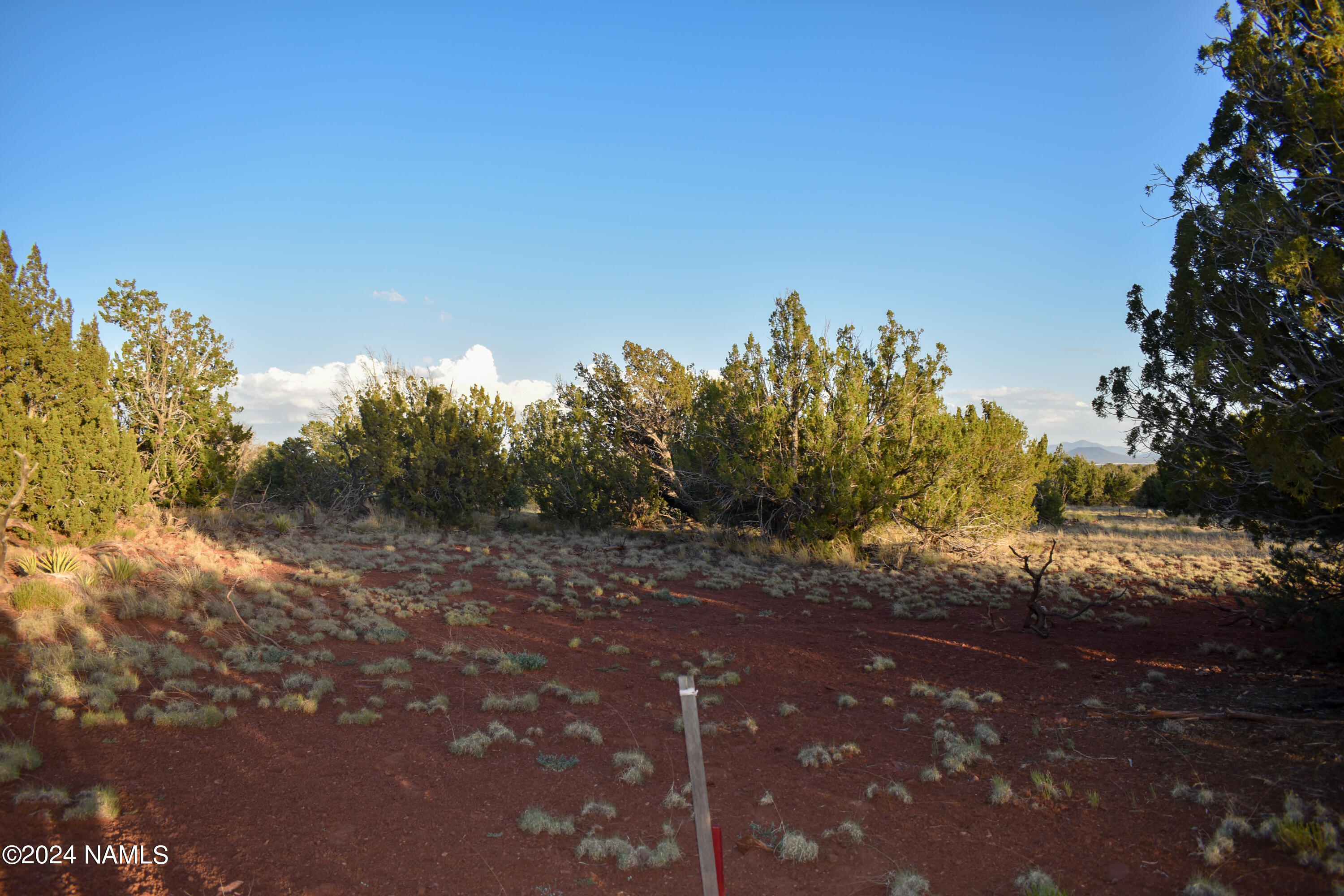 574 South Spruce Road, Unit 365 Williams, AZ 86046 - Photo 6 of 9 View