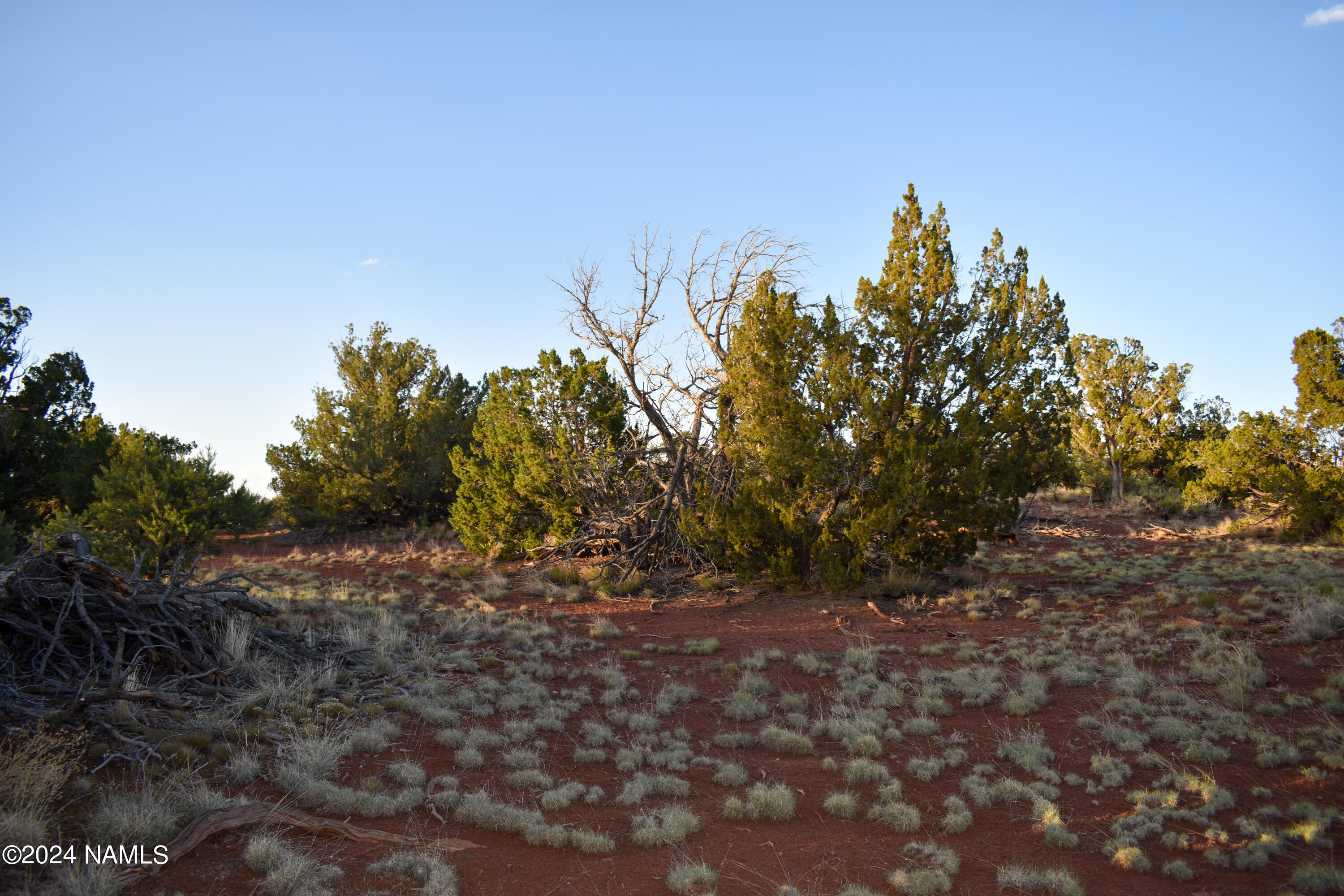 574 South Spruce Road, Unit 365 Williams, AZ 86046 - Photo 8 of 9 View