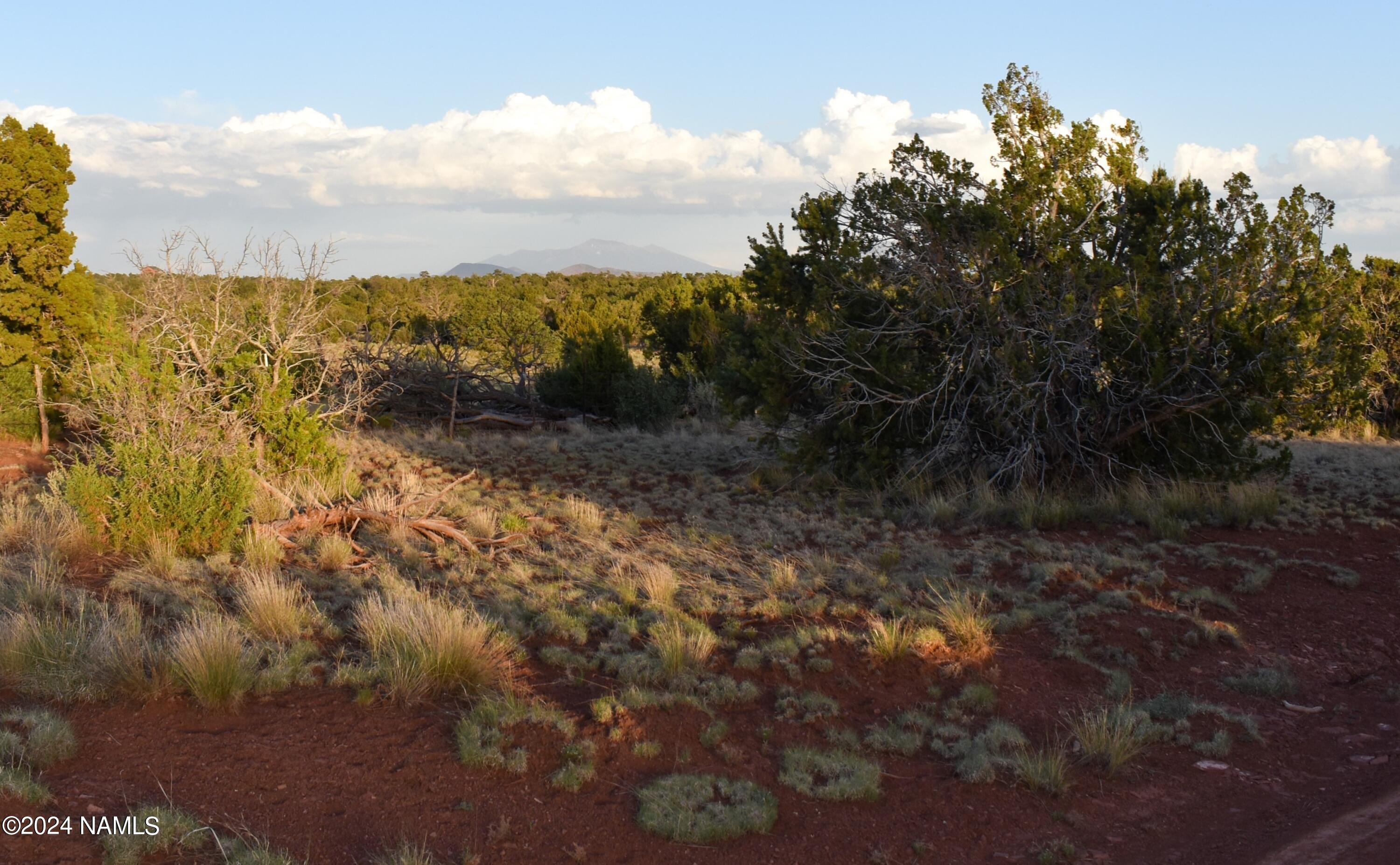 574 South Spruce Road, Unit 365 Williams, AZ 86046 - Photo 9 of 9 View