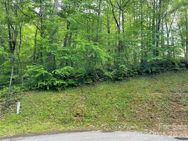 a view of a yard
