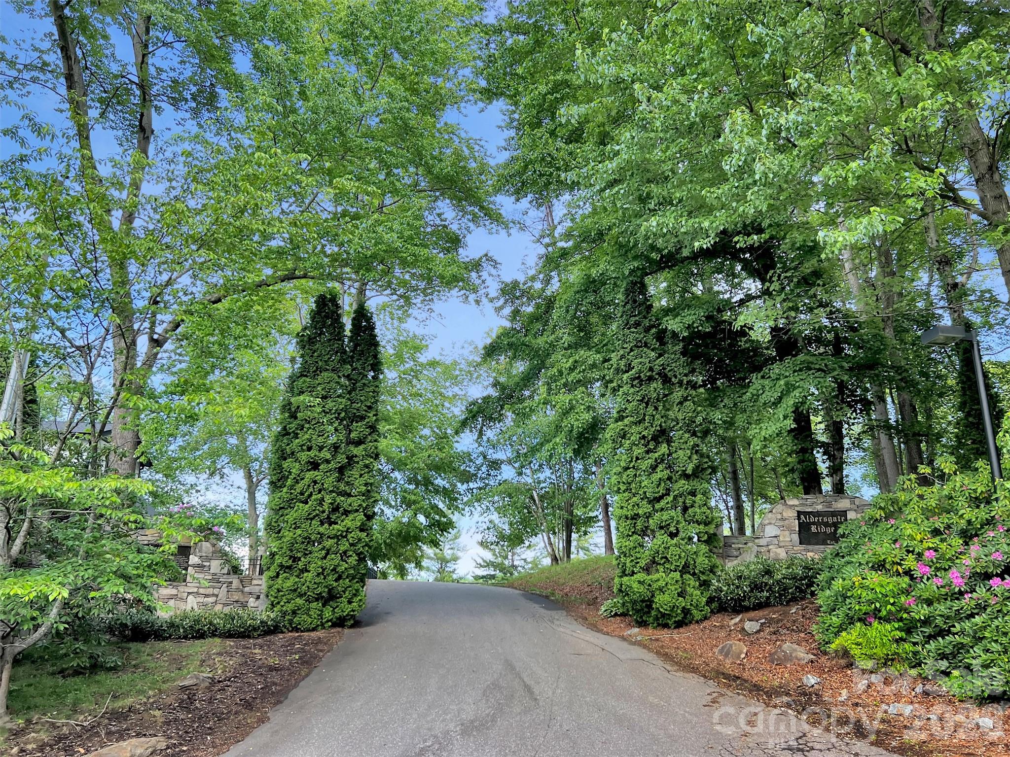 186 Aldersgate Road Waynesville, NC 28786 - Photo 10 of 14 a view of a street with potted plants and large trees
