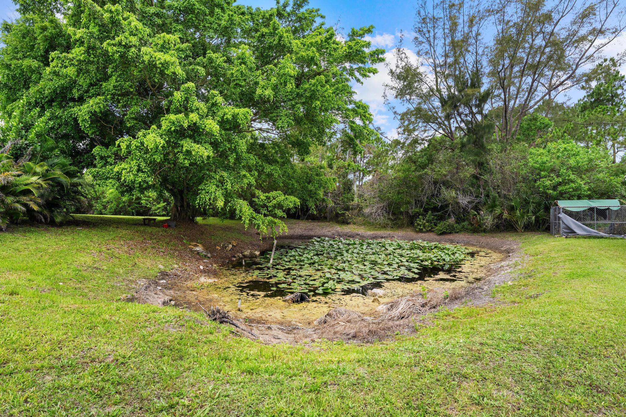 16931 93rd Road North Loxahatchee, FL 33470 - Photo 46 of 56 Pond