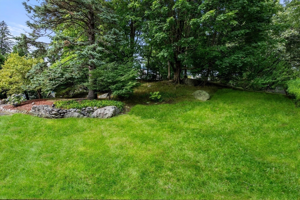 54 Clark Street Newton, MA 02459 - Photo 30 of 34 a view of green field with trees in the background