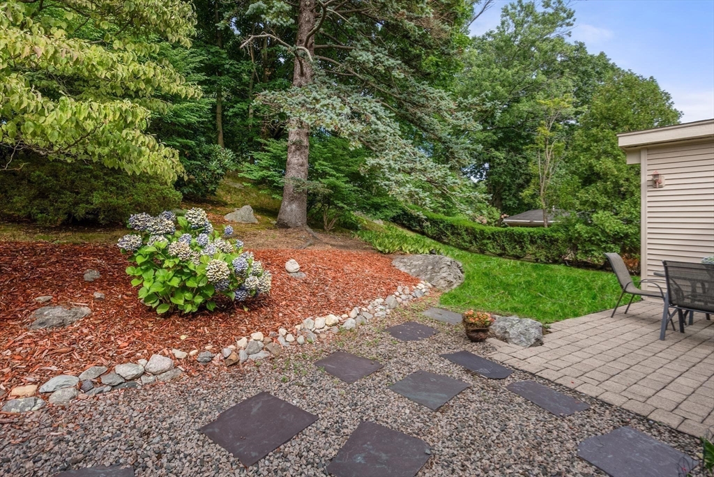 54 Clark Street Newton, MA 02459 - Photo 33 of 34 a view of a backyard with sitting area