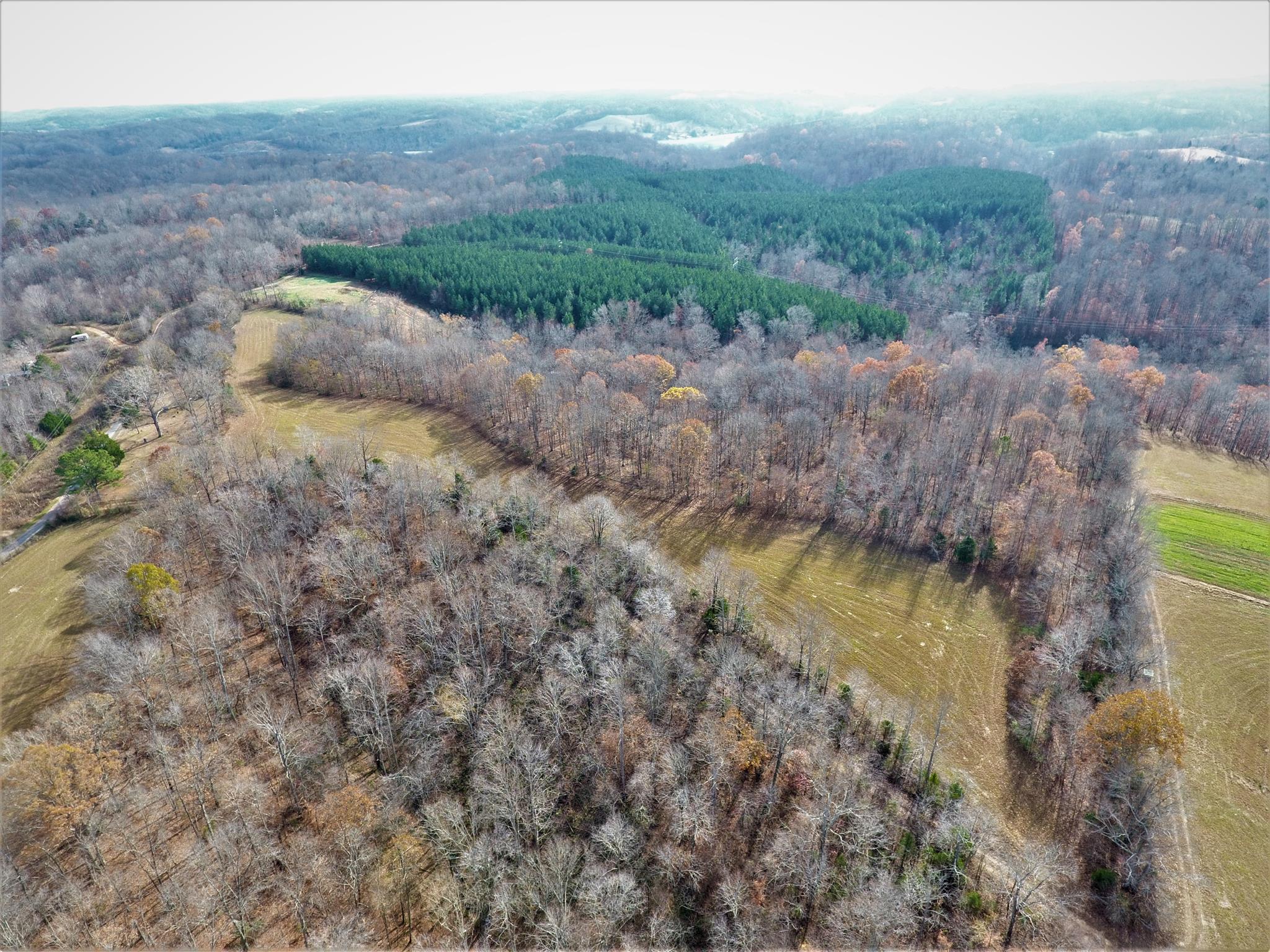 0 Chestnut Ridge Lawrenceburg, TN 38464 - Photo 3 of 6