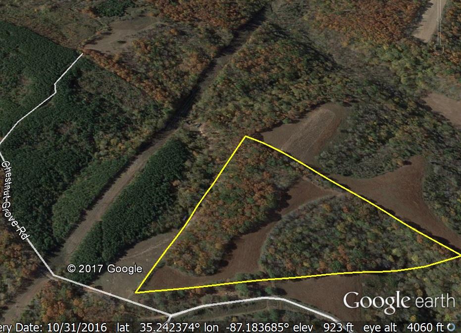 0 Chestnut Ridge Lawrenceburg, TN 38464 - Photo 5 of 6