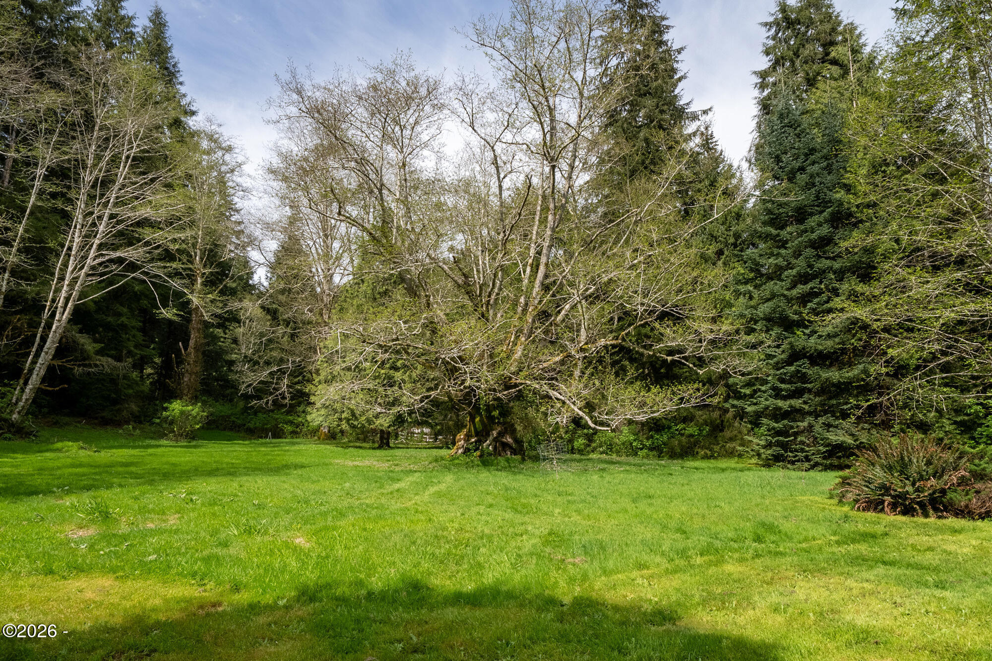 22800 Miami Foley Road Nehalem, OR 97131 - Photo 6 of 50 65_dsc09838-hdr