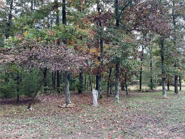 $189,900 | 90 Wayne 364, Piedmont, MO 63957