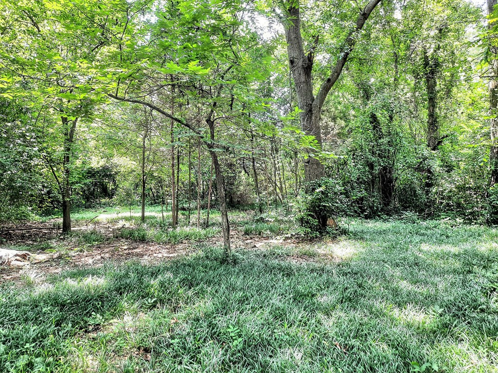 1907 Hopie Road Augusta, GA 30904 - Photo 3 of 5