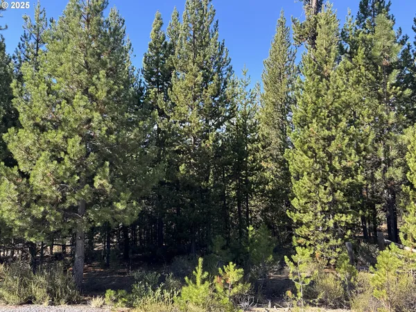 $105,000 | Crescent Moon Drive, Unit 29, Crescent Lake, OR 97733