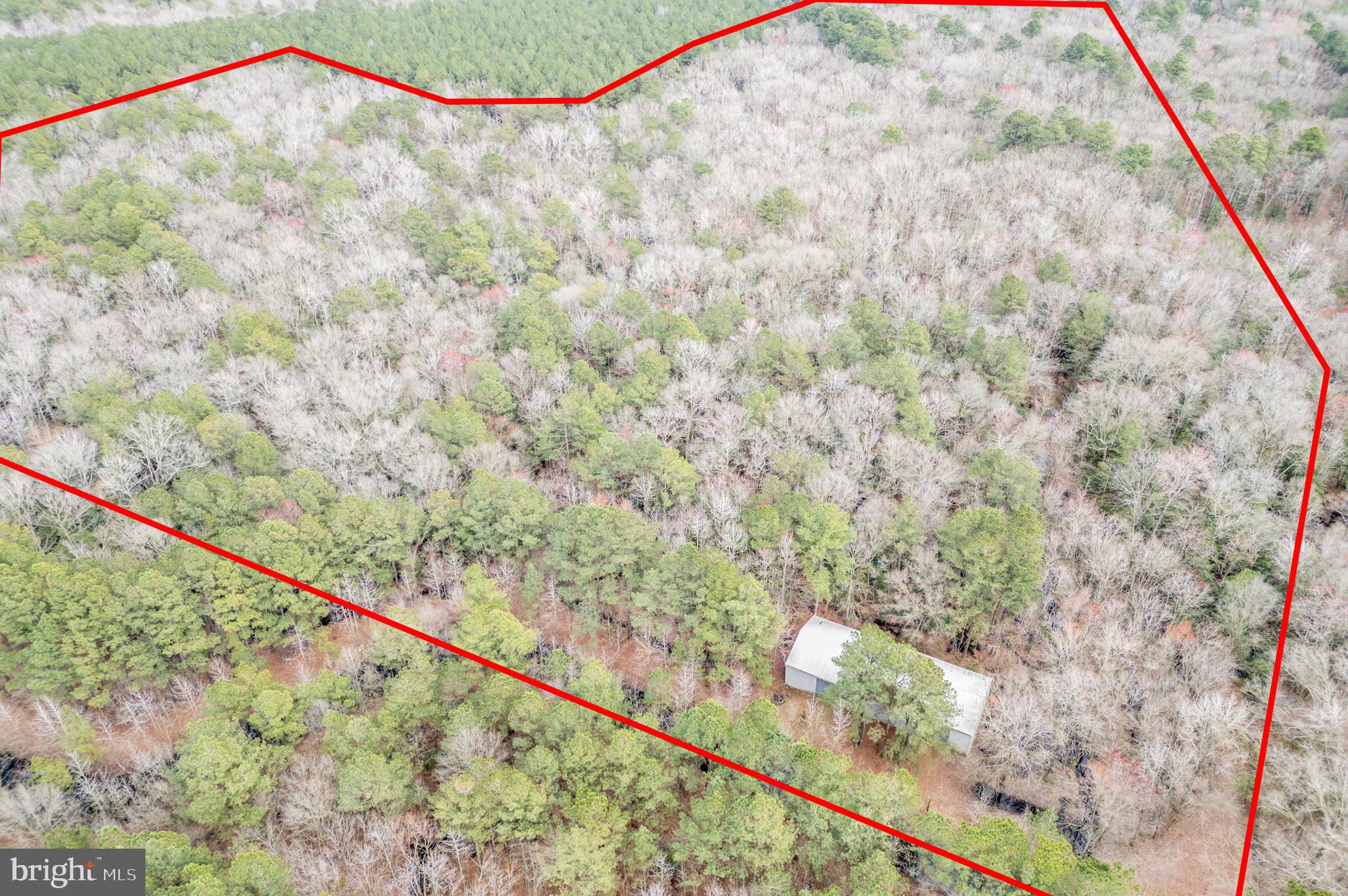 4845 Houston Branch Road Federalsburg, MD 21632 - Photo 1 of 16 Gallery Image 1