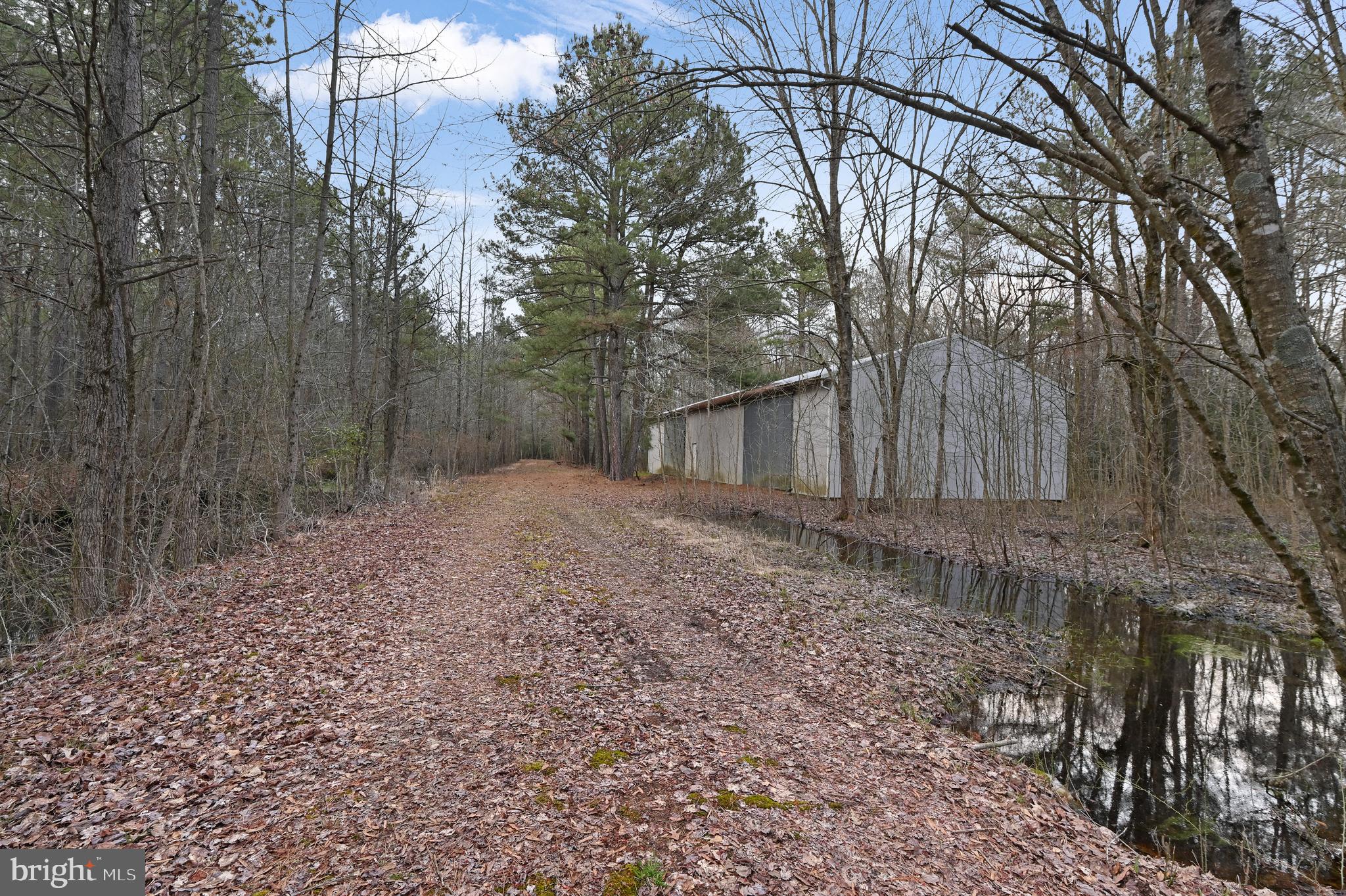 4845 Houston Branch Road Federalsburg, MD 21632 - Photo 2 of 16 Gallery Image 2