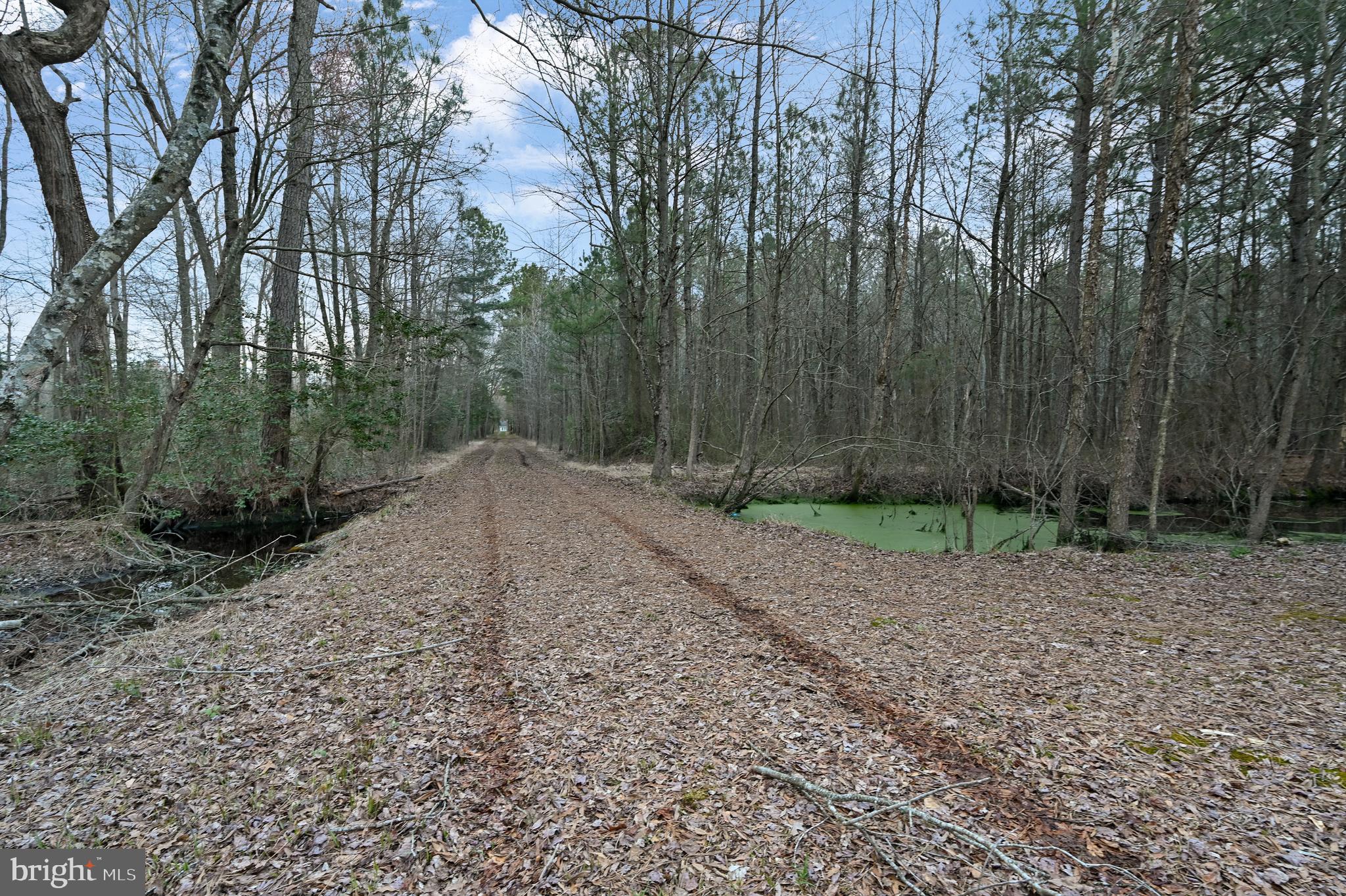 4845 Houston Branch Road Federalsburg, MD 21632 - Photo 10 of 16 Gallery Image 10