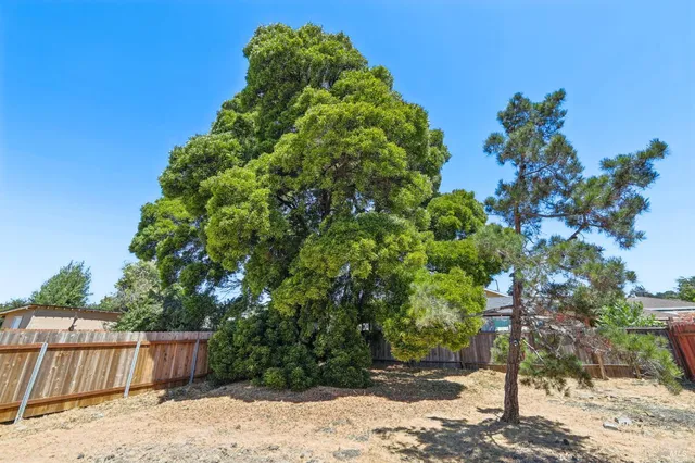 $549,000 | 826 Amador Street, Richmond, CA 94805