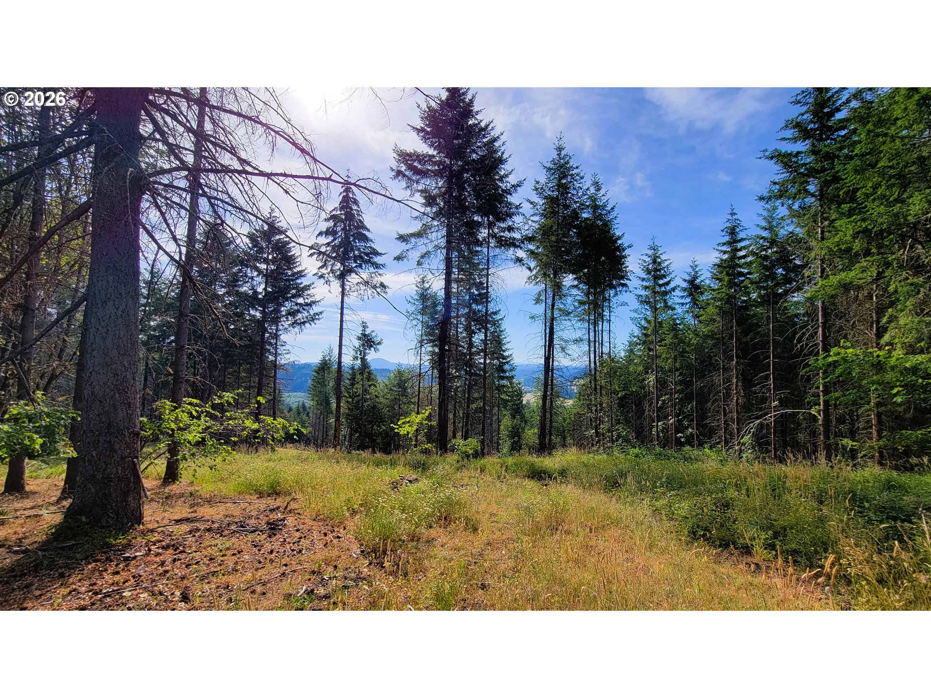 86830 Northill Ranch Road, Unit 106 Eugene, OR 97402 - Photo 5 of 15 View
