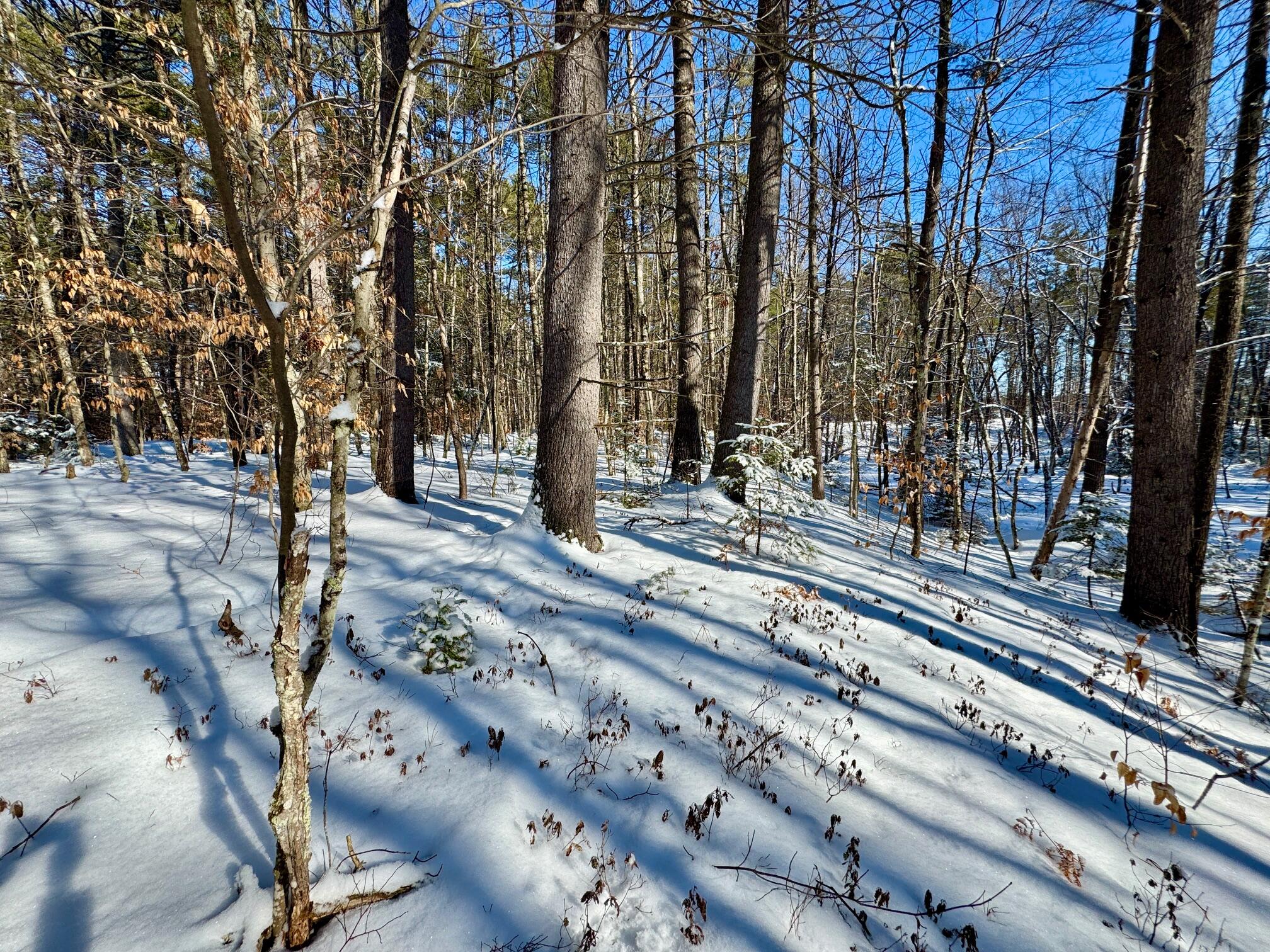 Tbd Swans Falls Road, Unit LOT B Fryeburg, ME 04037 - Photo 11 of 17 Lot B 6