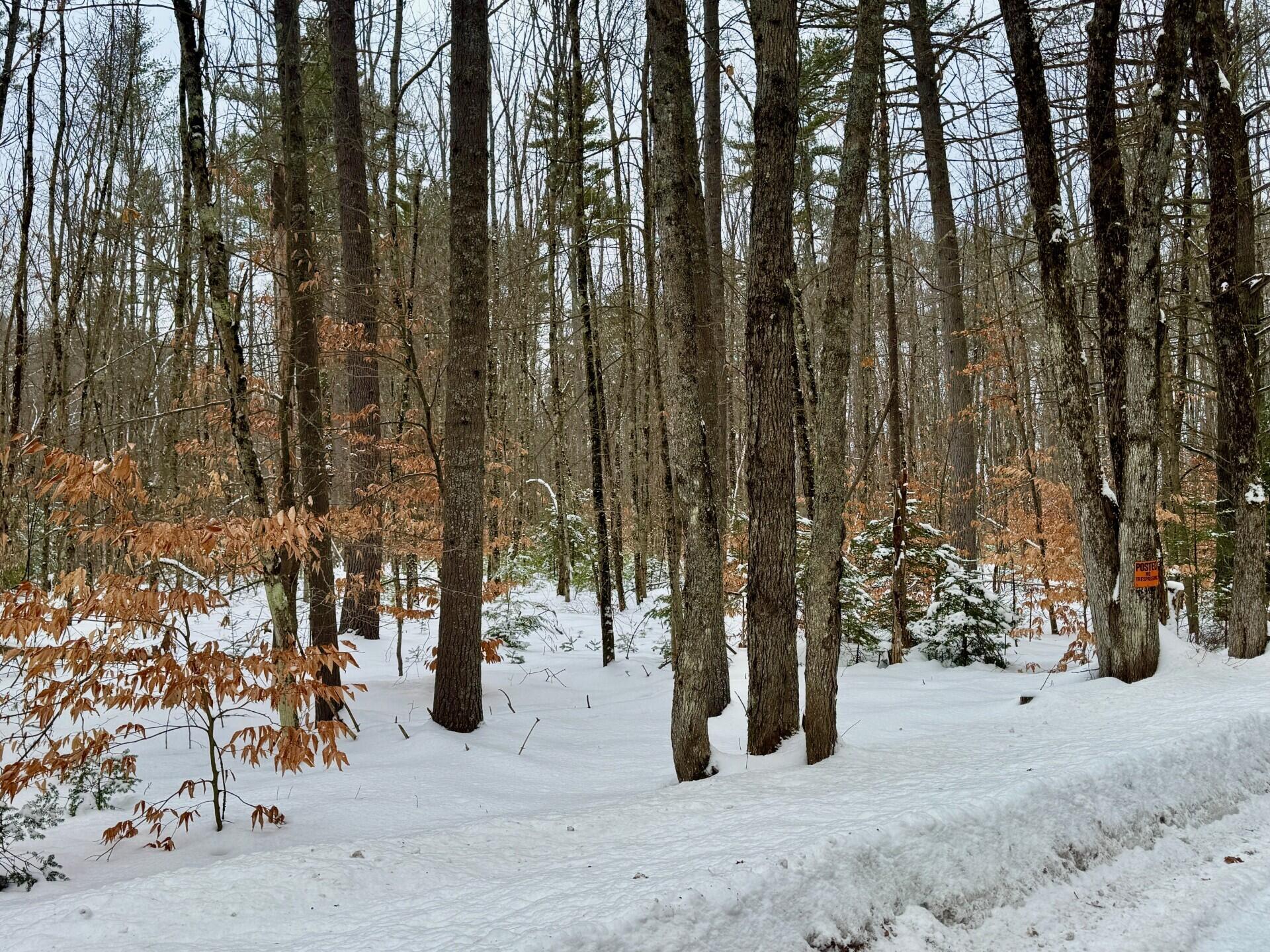 Tbd Swans Falls Road, Unit LOT B Fryeburg, ME 04037 - Photo 12 of 17 Lot B looking down Swans Falls Rd