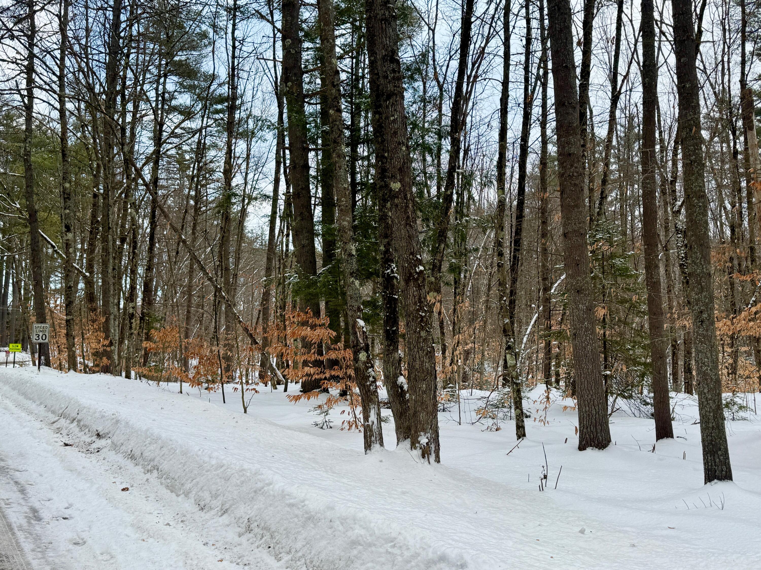 Tbd Swans Falls Road, Unit LOT B Fryeburg, ME 04037 - Photo 13 of 17 Lot B looking up Swans Falls from Newold