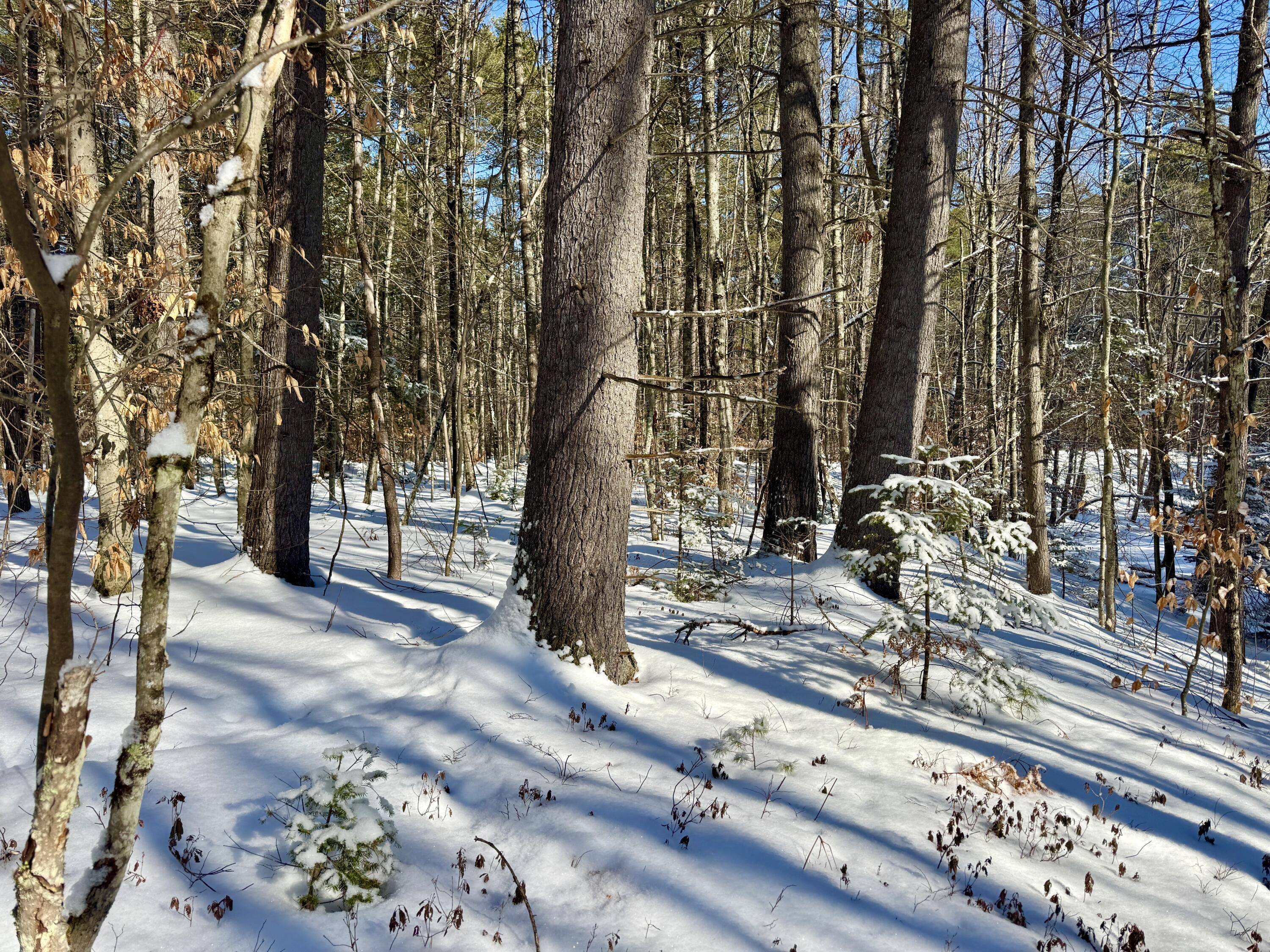 Tbd Swans Falls Road, Unit LOT B Fryeburg, ME 04037 - Photo 3 of 18 Lot B 1