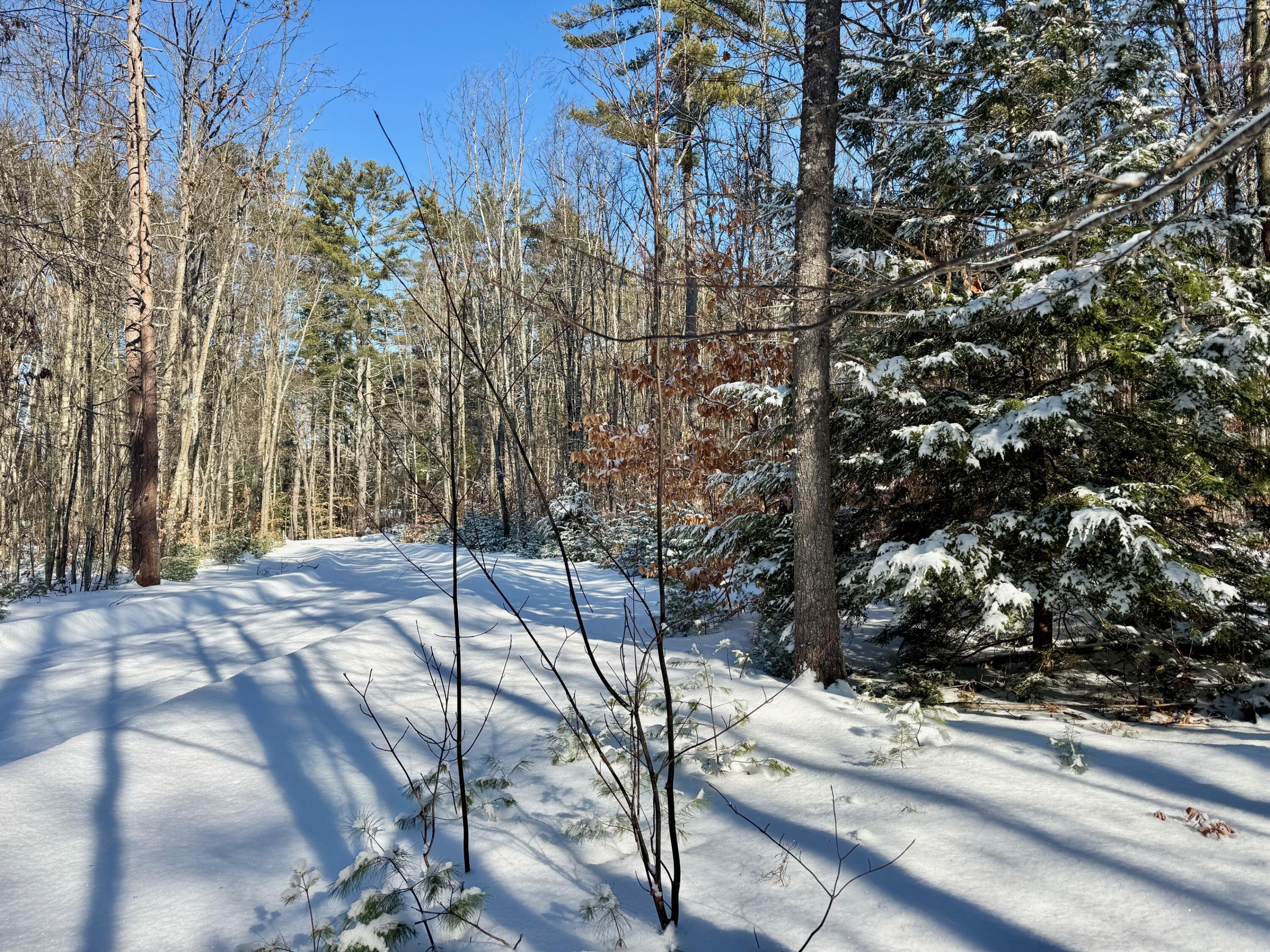Tbd Swans Falls Road, Unit LOT B Fryeburg, ME 04037 - Photo 5 of 18 Lot B 3