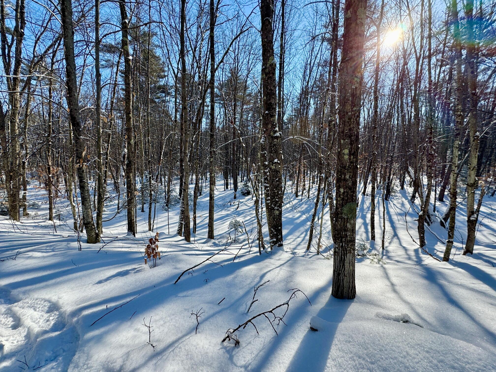 Tbd Swans Falls Road, Unit LOT B Fryeburg, ME 04037 - Photo 6 of 18 Lot B 4