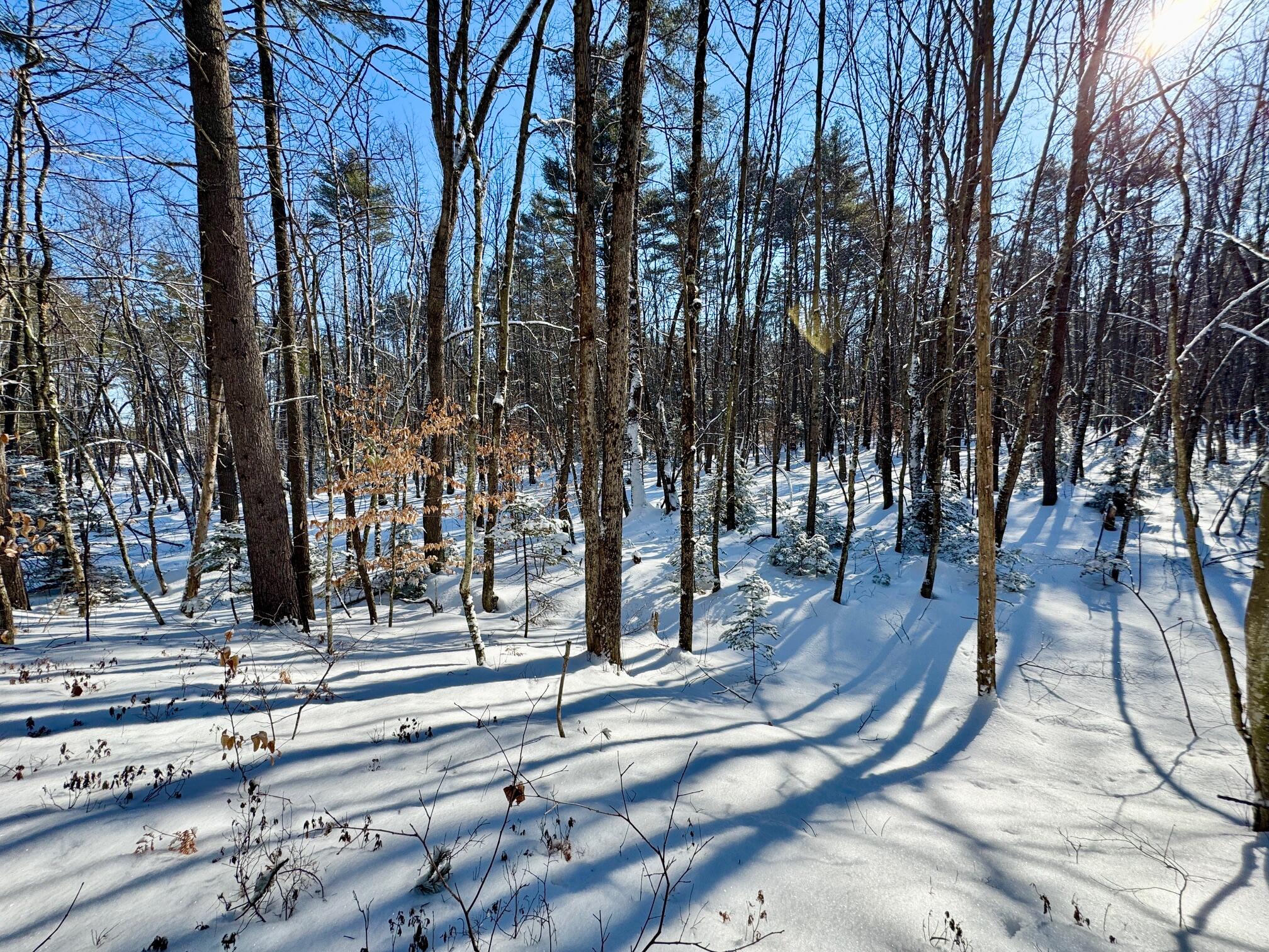 Tbd Swans Falls Road, Unit LOT B Fryeburg, ME 04037 - Photo 10 of 17 Lot B 5