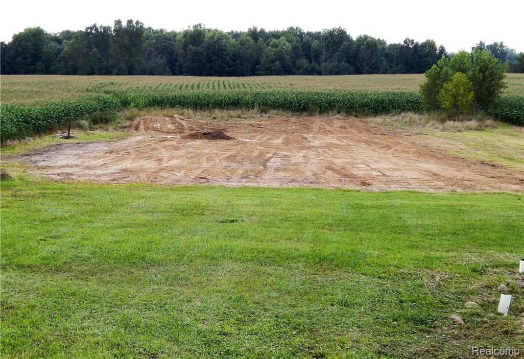 9792 Judd Road Fowlerville, MI 48836 - Photo 19 of 21 Recently excavated back of yard. Great spot for Barn or Garage