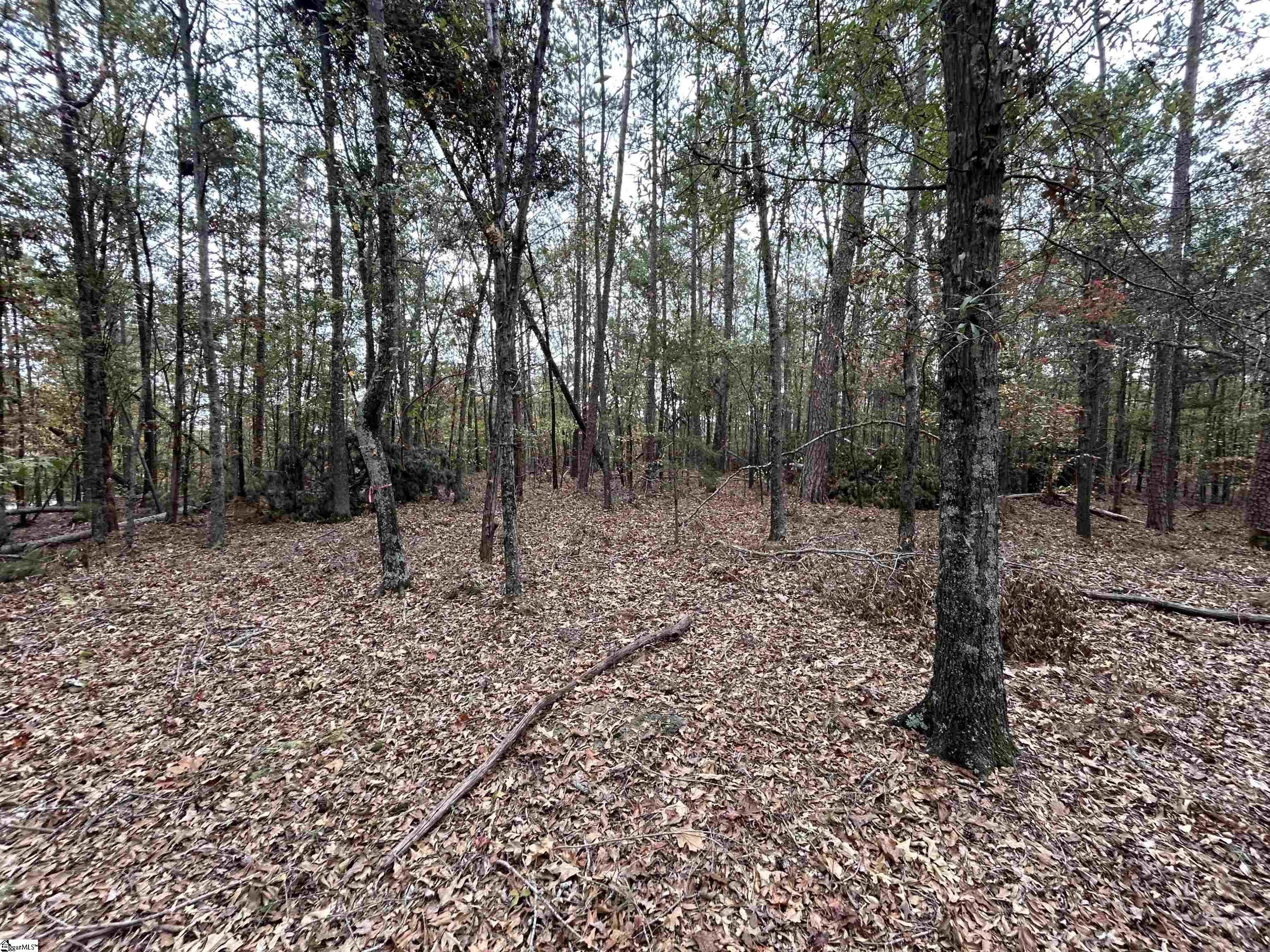 711 Nash Mill Road Fountain Inn, SC 29644 - Photo 1 of 5