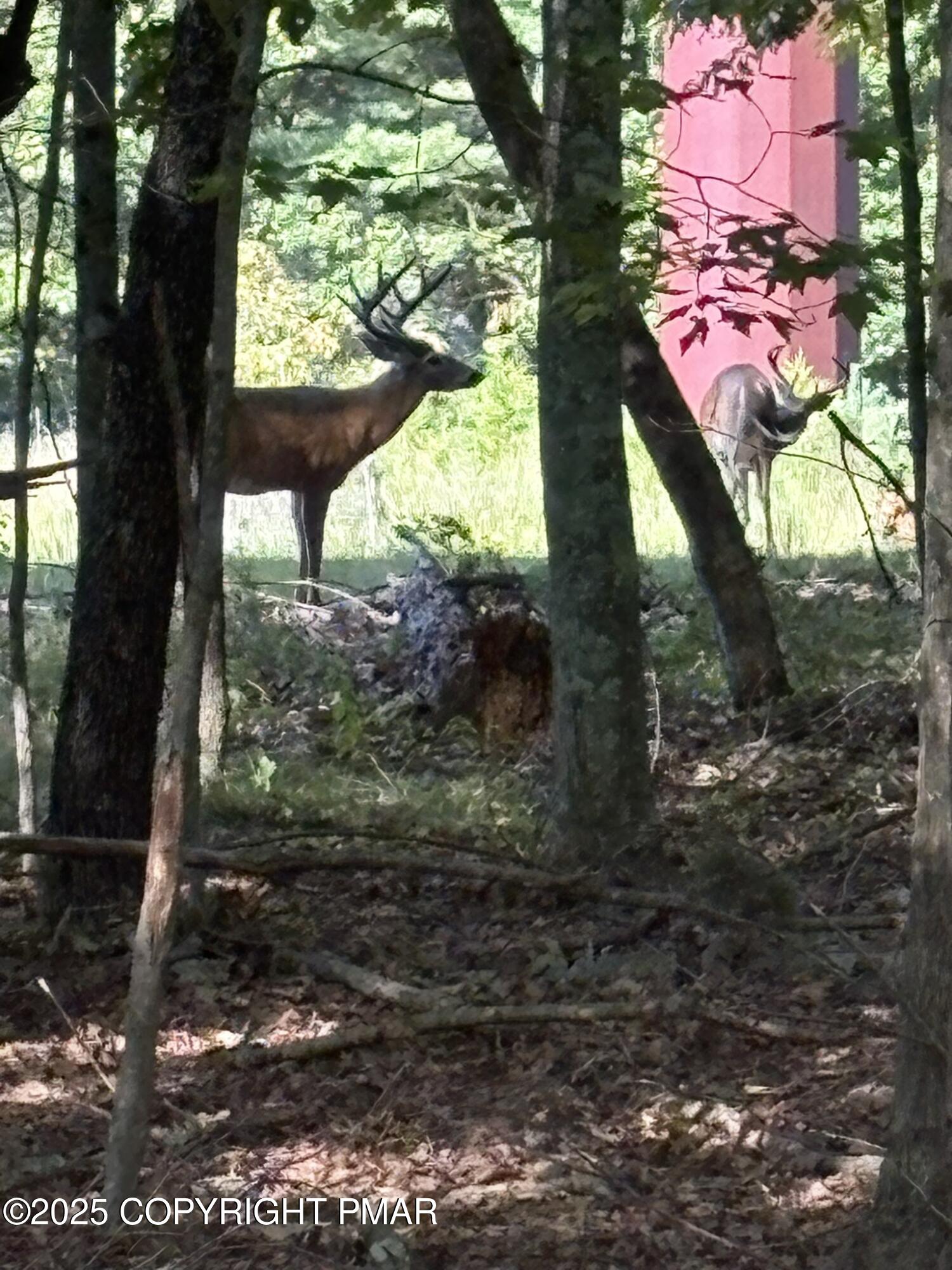 6116 Braintree Court Bushkill, PA 18324 - Photo 22 of 47 a view of a yard with plants and a bench