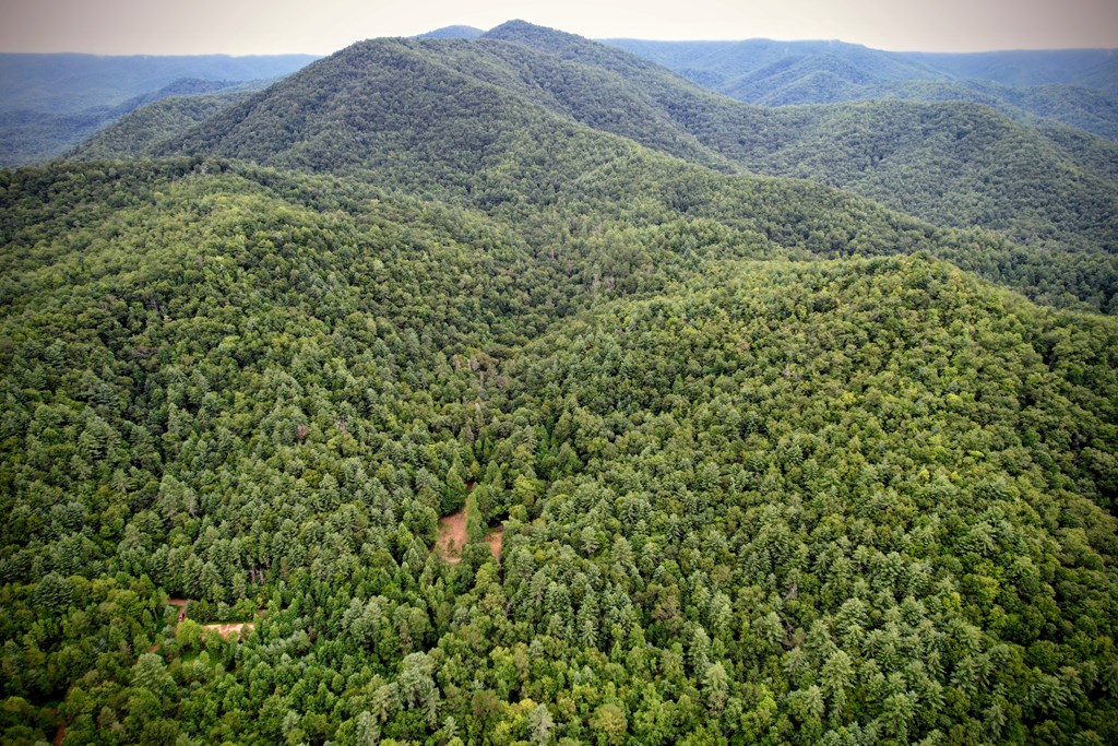 0 Flea Mountain Road Murphy, NC 28906 - Photo 53 of 54