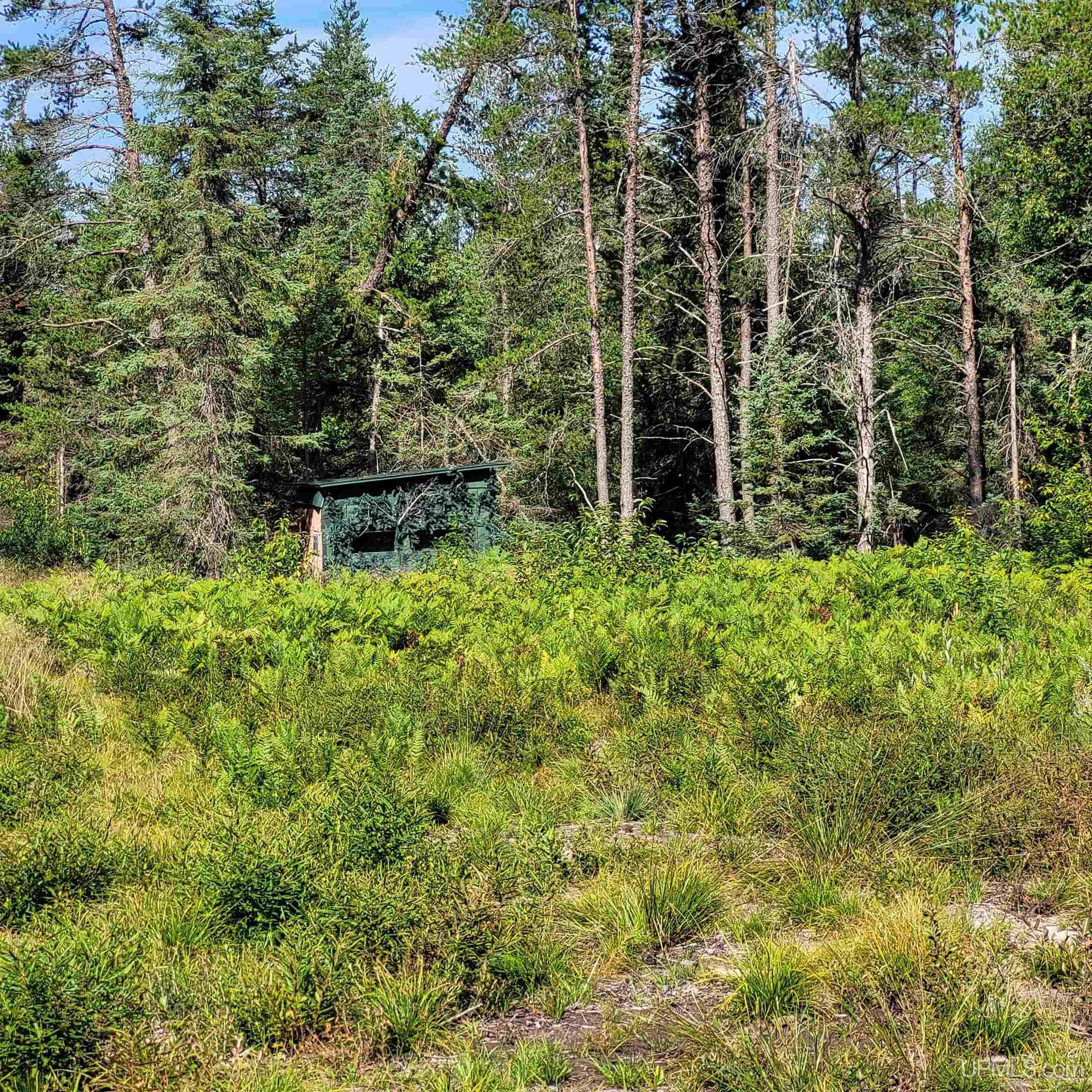 76 Acres Road Gwinn, MI 49841 - Photo 62 of 64