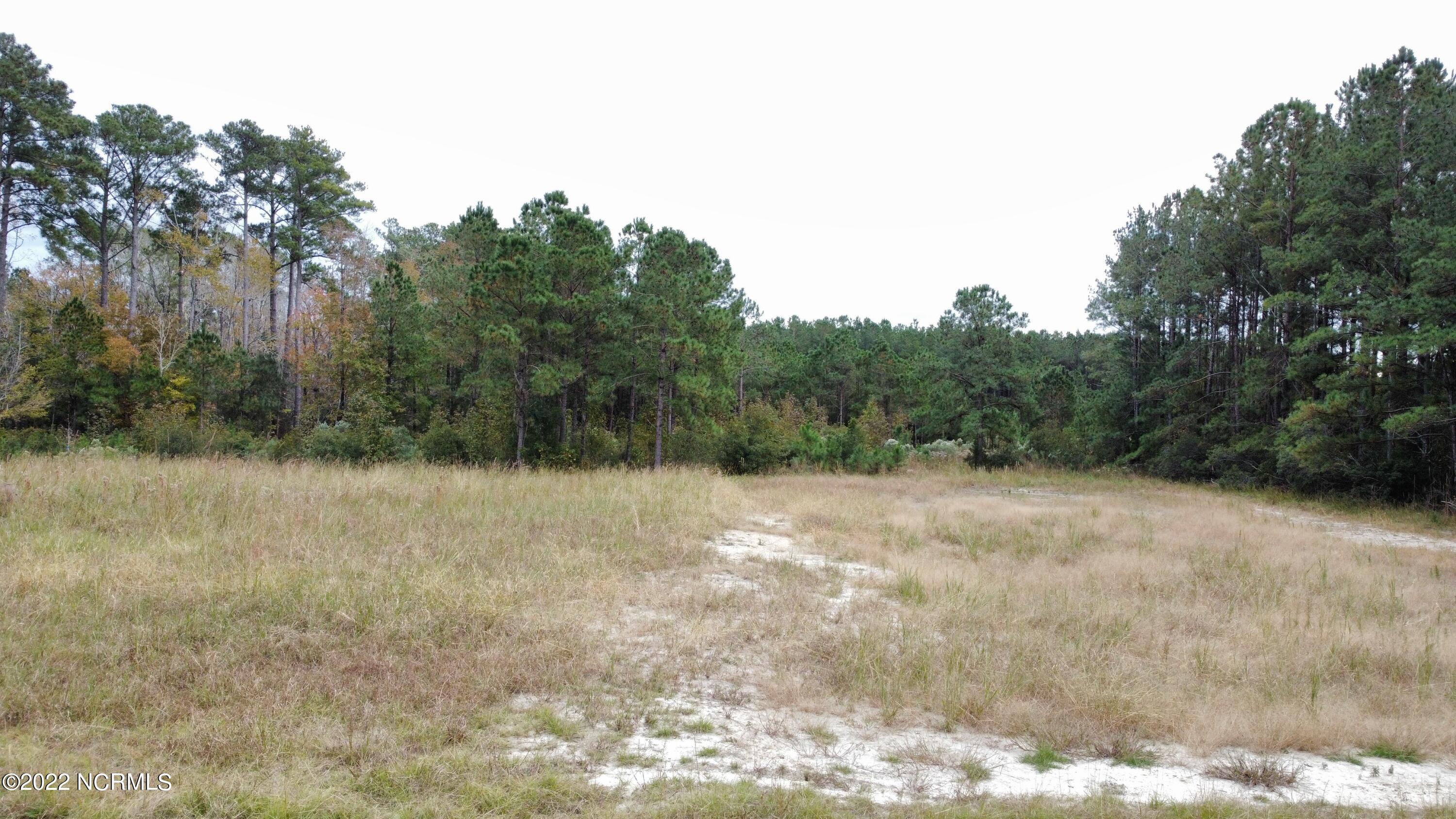 136 Garbacon Drive Beaufort, NC 28516 - Photo 2 of 38 dji_fly_20221122_141912_107_166921599988