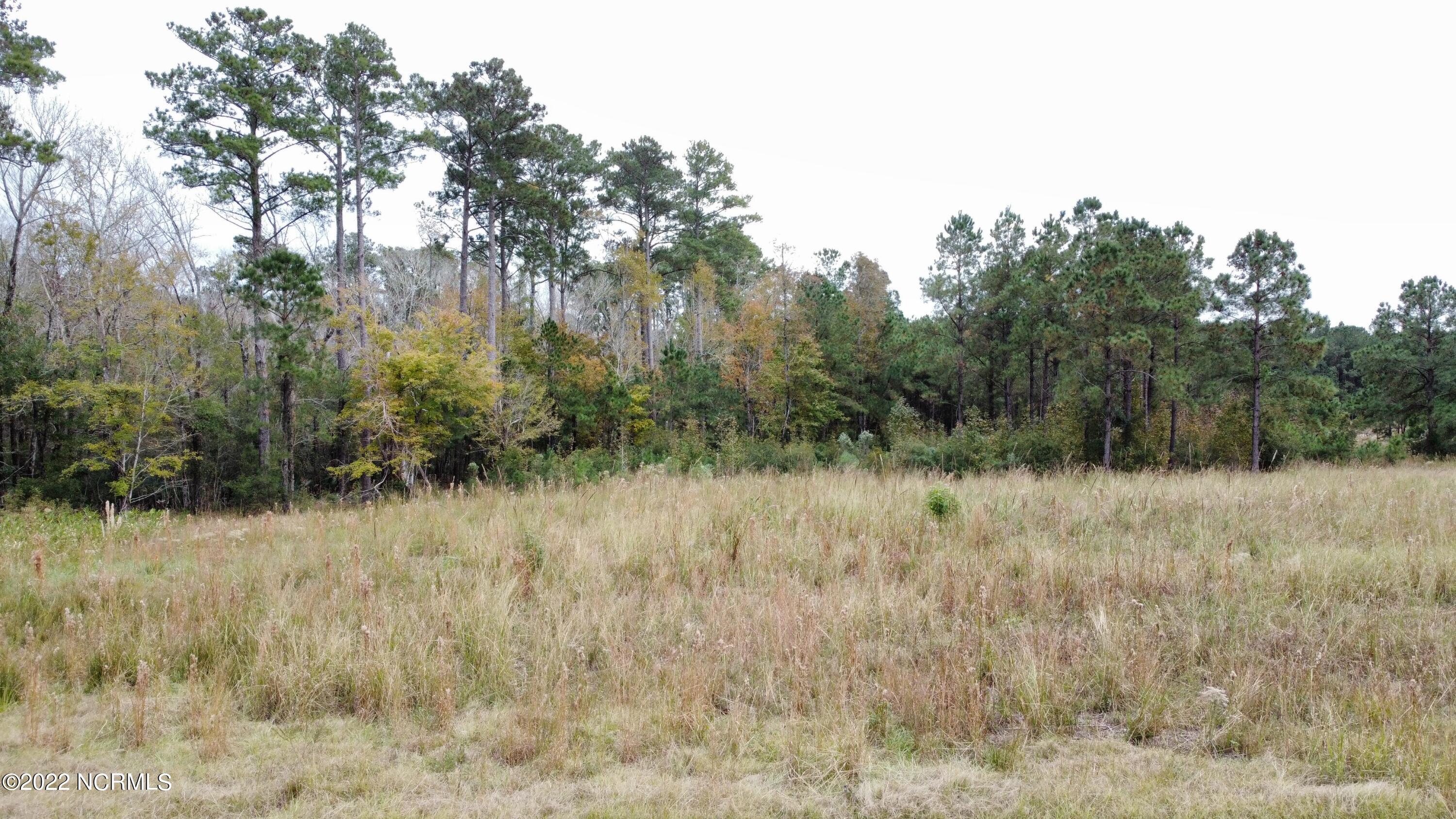 136 Garbacon Drive Beaufort, NC 28516 - Photo 3 of 38 dji_fly_20221122_141922_108_166921599785