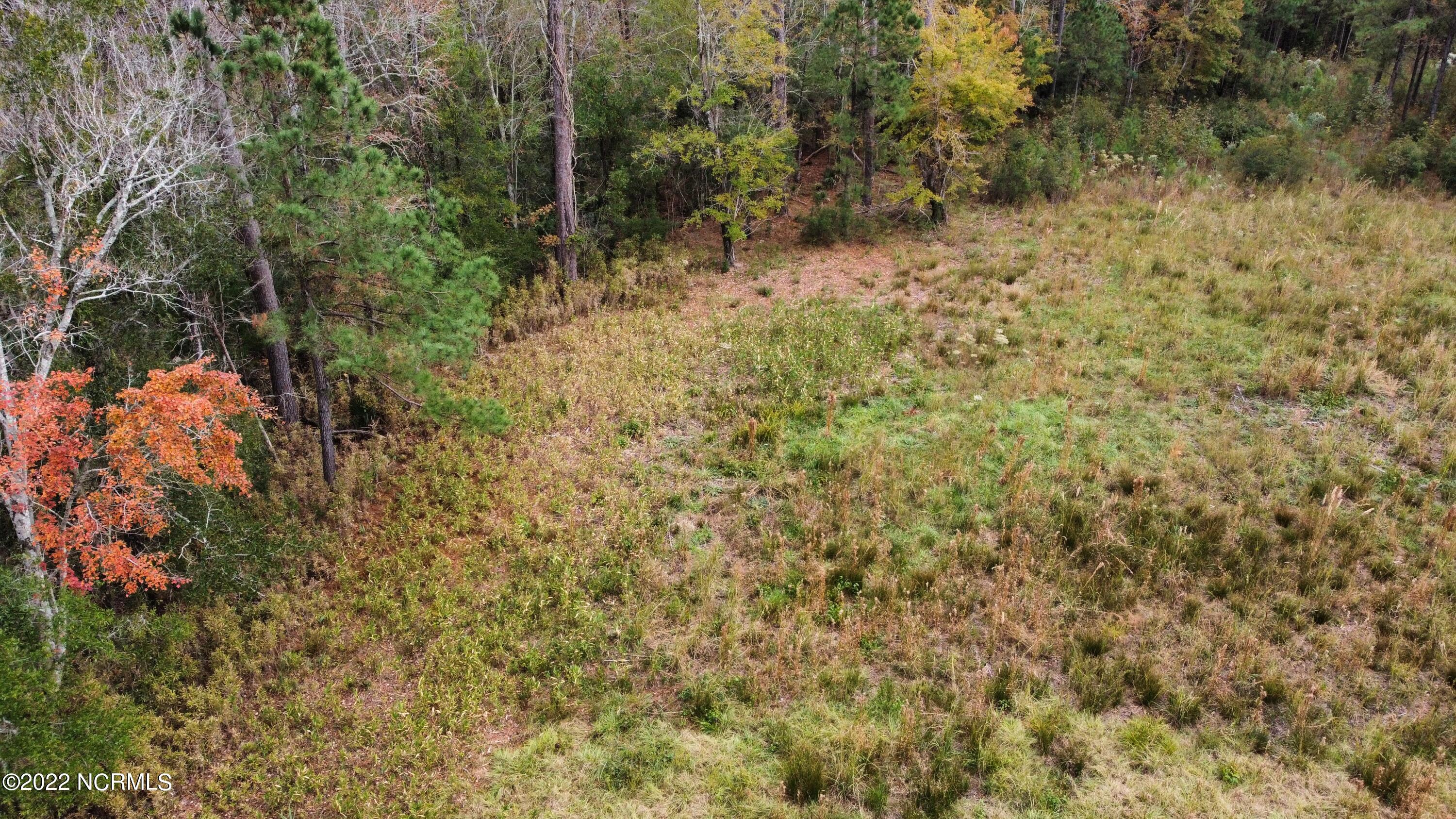 136 Garbacon Drive Beaufort, NC 28516 - Photo 5 of 38 dji_fly_20221122_141946_110_166921599390