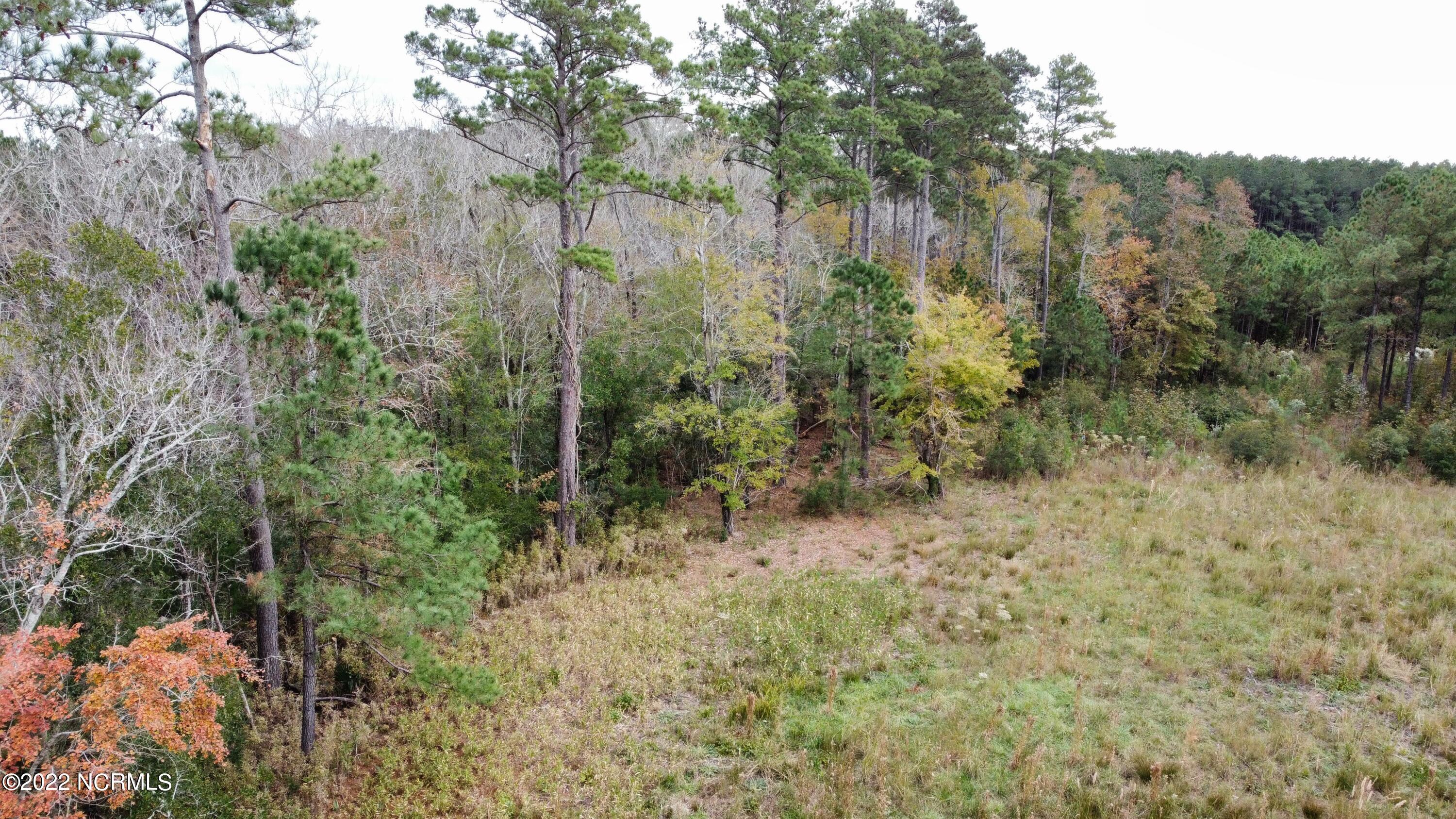 136 Garbacon Drive Beaufort, NC 28516 - Photo 6 of 38 dji_fly_20221122_141948_111_166921599192