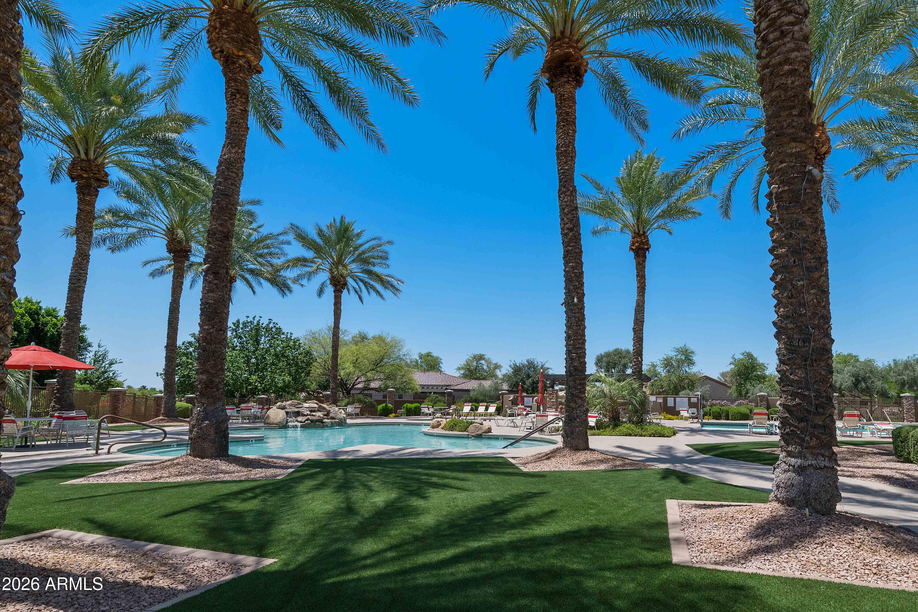 4100 East Strawberry Drive Gilbert, AZ 85298 - Photo 59 of 62 a view of a yard with palm trees