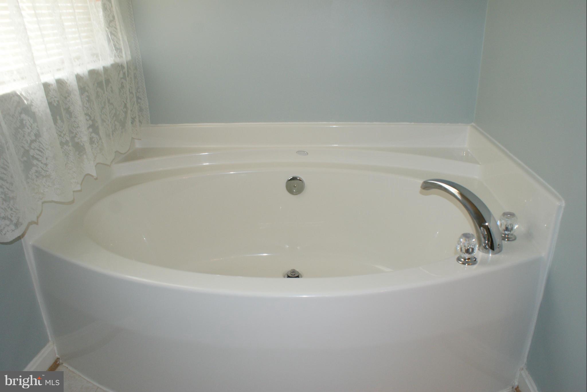 652 Kings Grant Road Culpeper, VA 22701 - Photo 14 of 24 Master bath soaking tub
