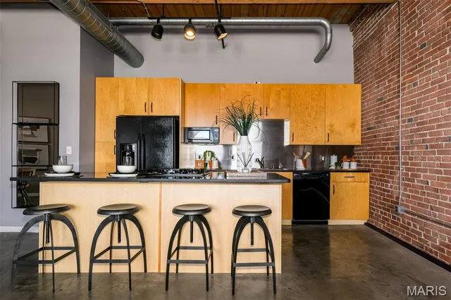 $214,900 | 901 Washington Avenue, Unit 411, St. Louis, MO 63101