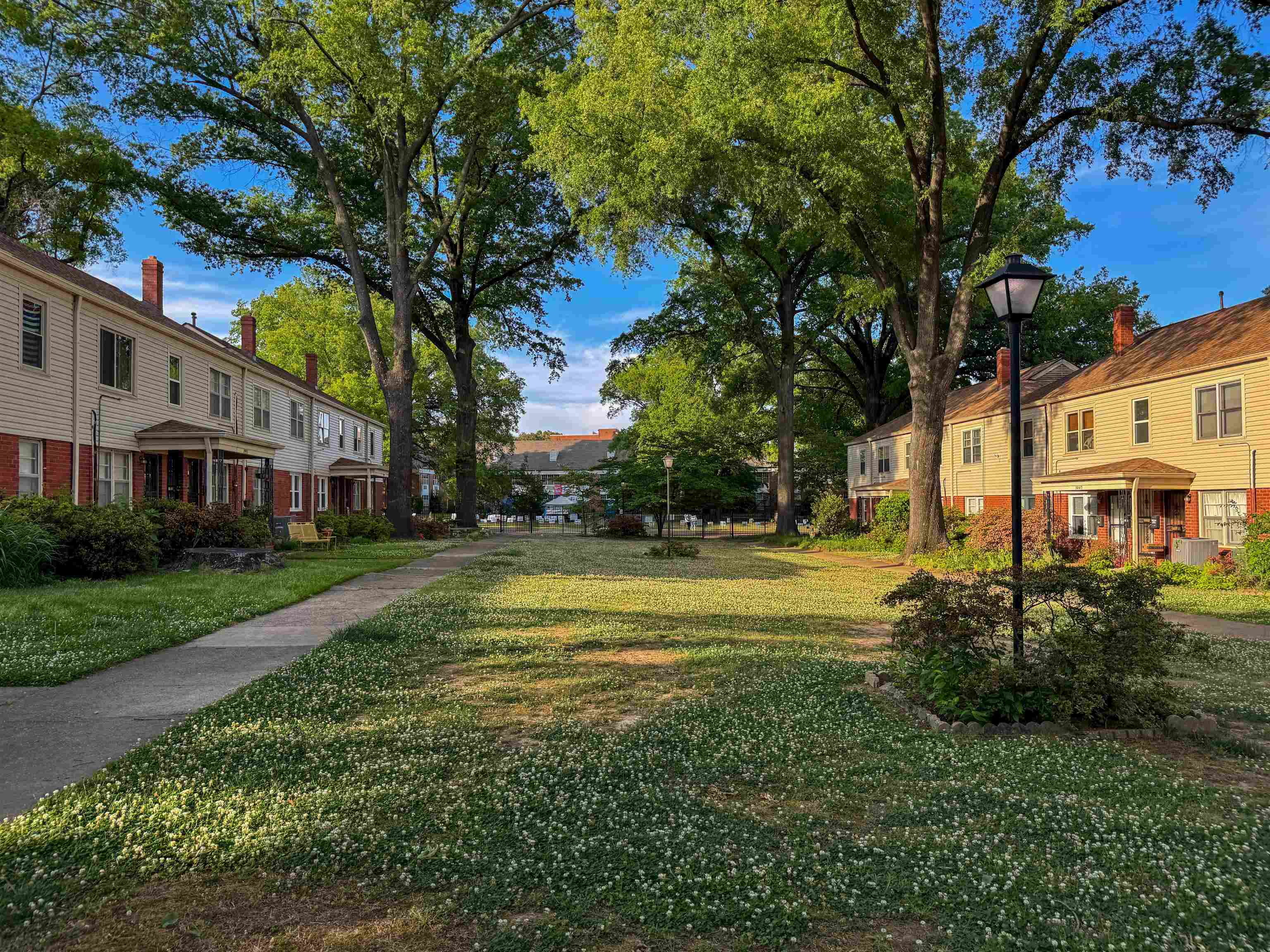 2991 Walnut Grove Road, Unit 2 Memphis, TN 38111 - Photo 1 of 8 a view of a big yard with plants and large trees