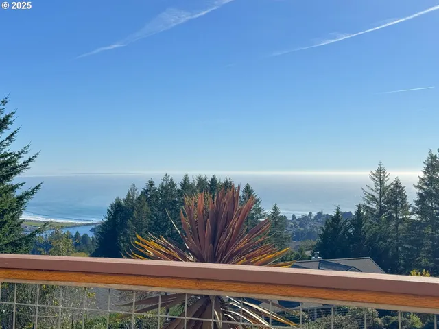 a view of a house with a yard and potted plants