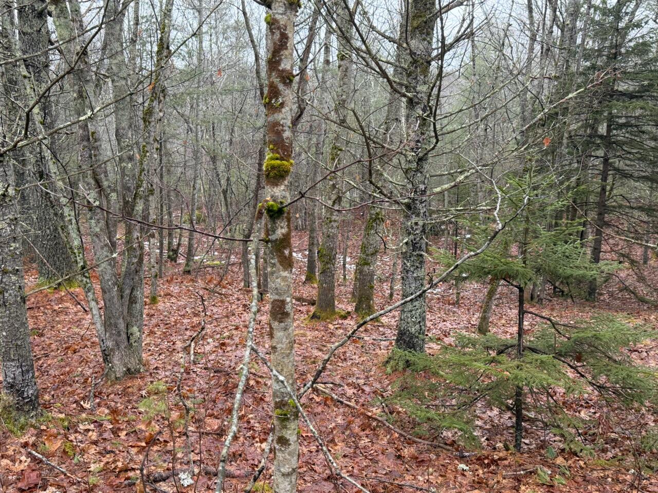 Lot 068003 Shore Road Bremen, ME 04551 - Photo 2 of 4 Lot 068-003 Shore Road, Bremen