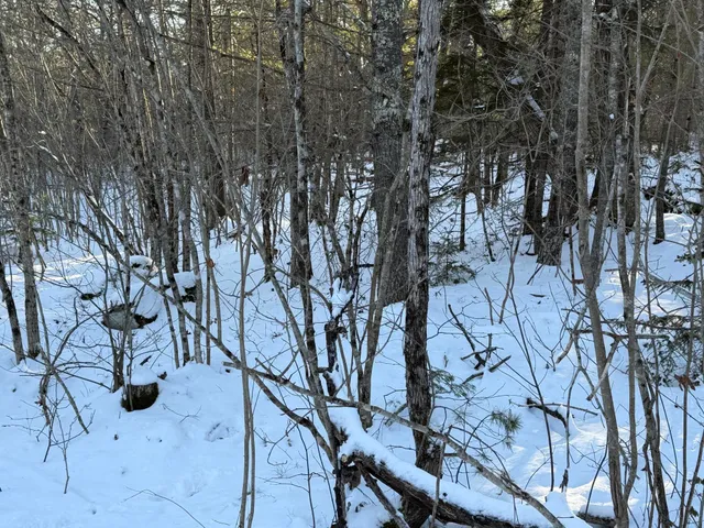 $65,000 | Lot 068003 Shore Road, Bremen, ME 04551