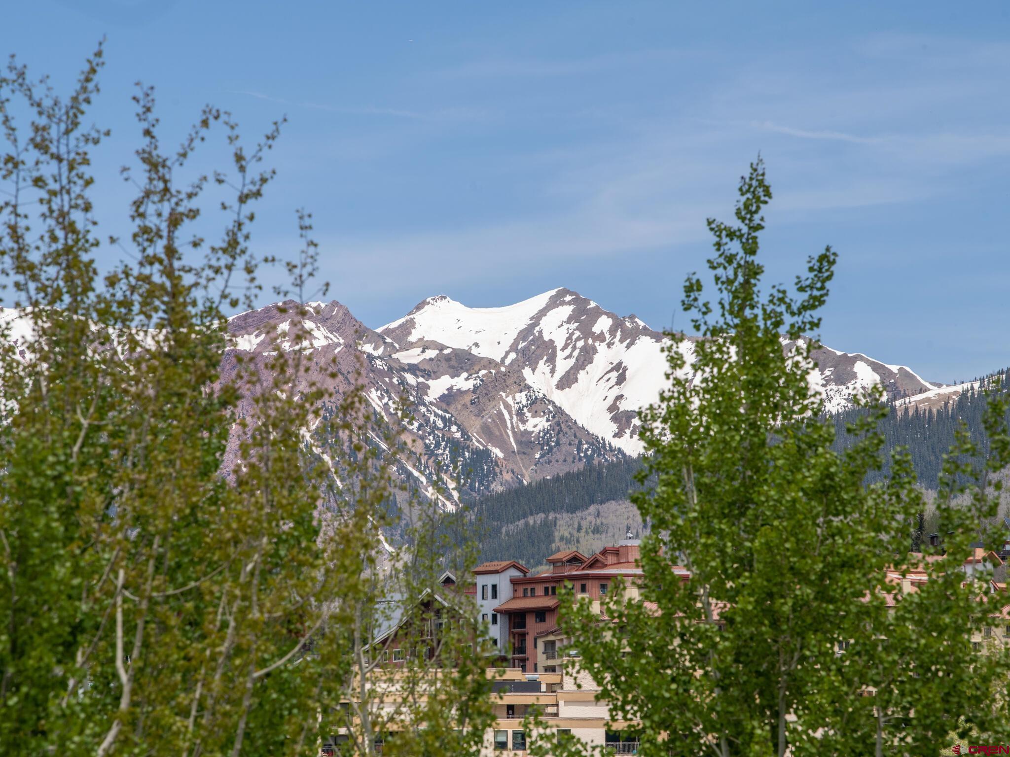 24 Hunter Hill Road, Unit 8 Crested Butte, CO 81225 - Photo 31 of 34 a view of a flower in a garden
