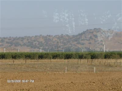 22572 Muscat Avenue Reedley, CA 93654 - Photo 11 of 11 Gallery Image 11