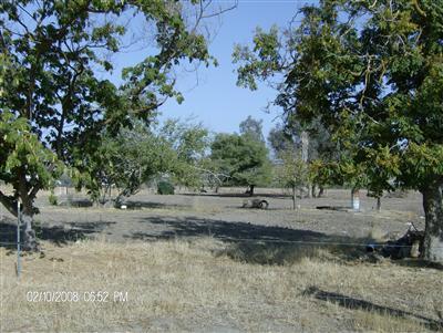 22572 Muscat Avenue Reedley, CA 93654 - Photo 8 of 11 Gallery Image 8