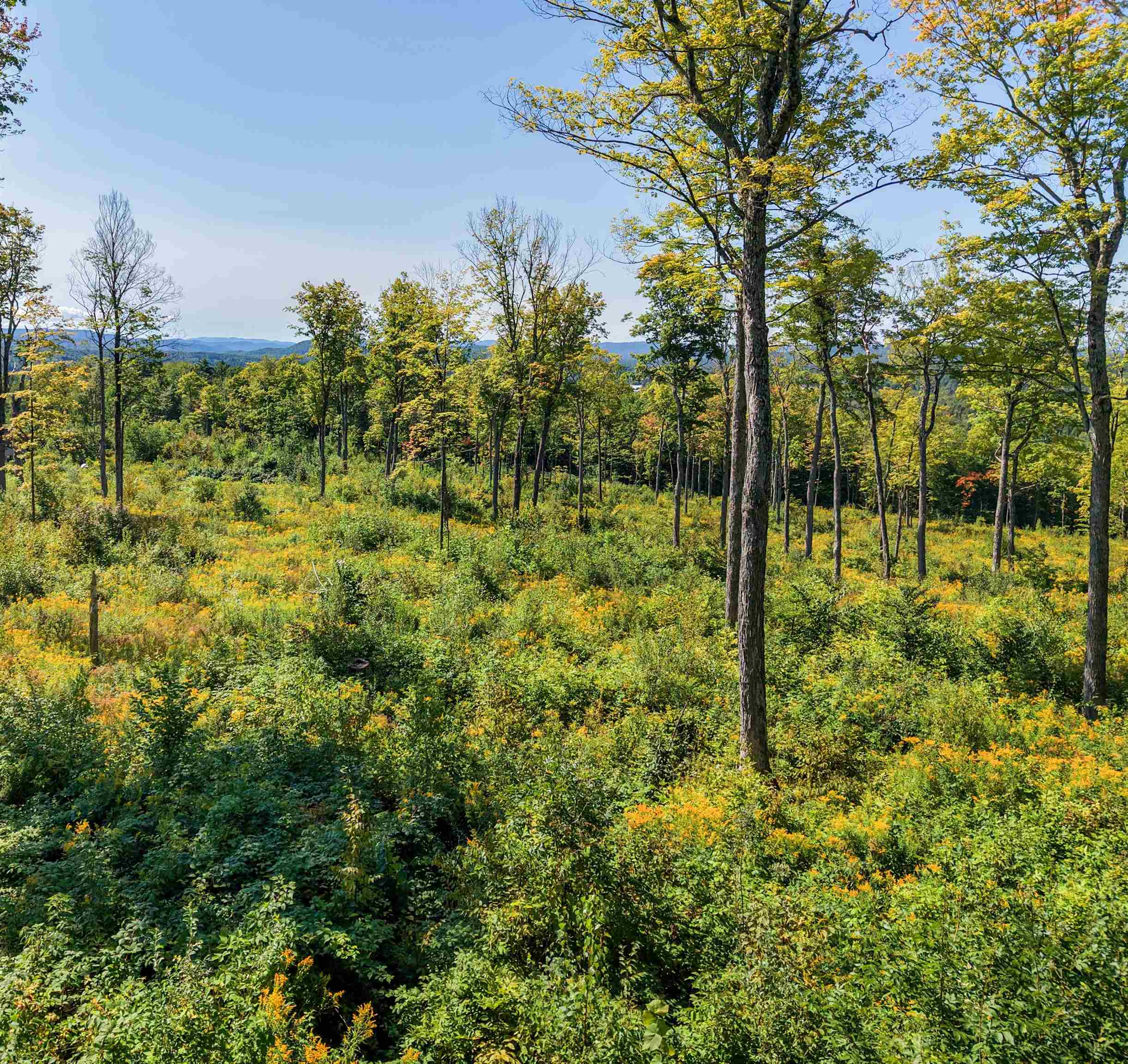 177 Cilley Hill Road, Unit 6 Jericho, VT 05465 - Photo 3 of 17 Gallery Image 3